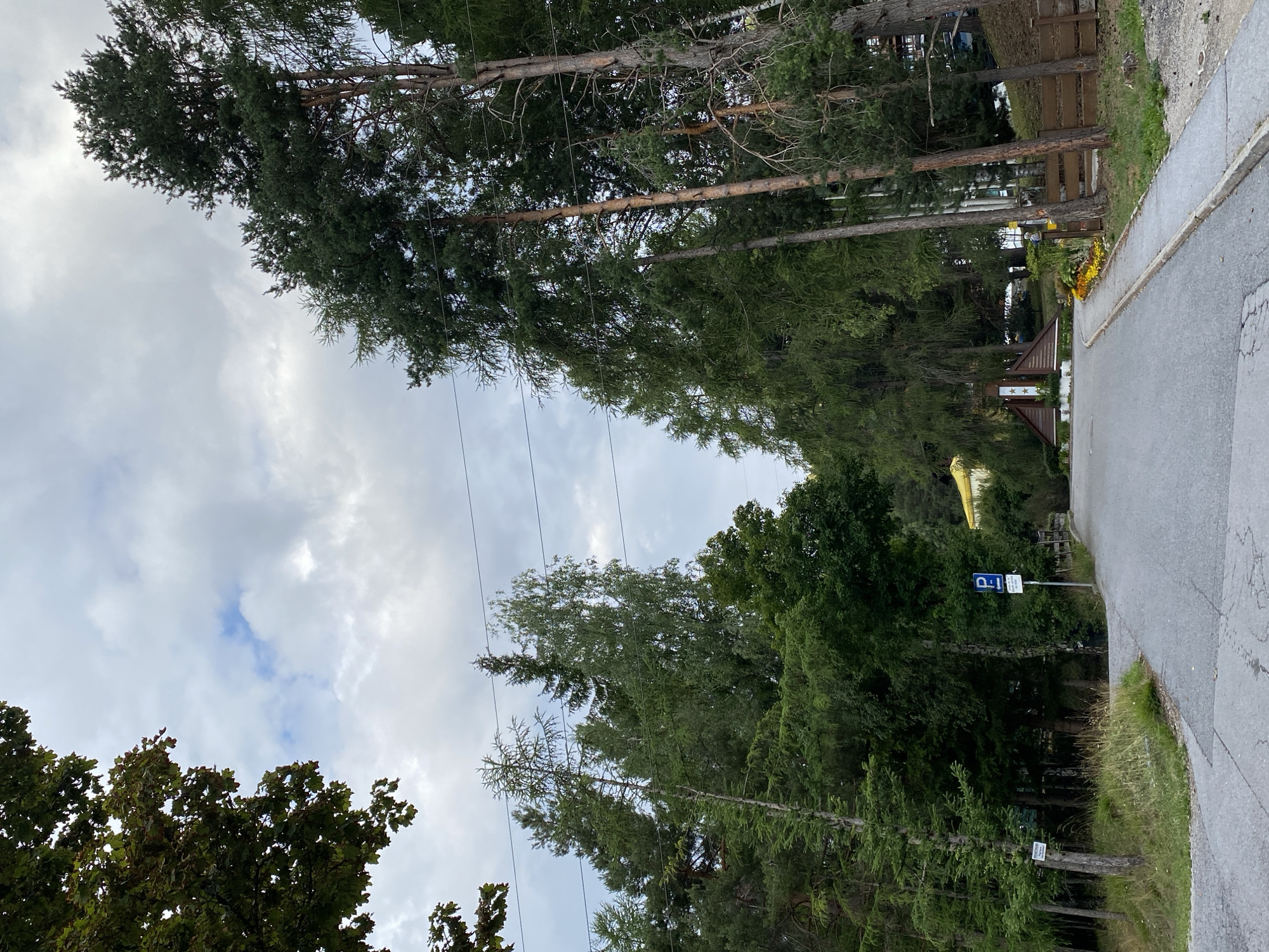The image depicts a paved road winding through a wooded area. Tall coniferous trees line both sides of the road, with some deciduous trees mixed in. The sky is overcast with patches of blue peeking through. On the left side of the road, a sign with text is attached to a tree. Further along the road on the left, a blue parking sign with a white "P" is visible. In the distance, on the right side of the road, a wooden fence runs along the edge of a slight incline covered in grass and some flowering plants. A brown wooden structure with a pointed roof and decorative stars is situated on the left side of the road in the middle ground. A bright yellow building is visible behind the trees on the left side of the road. The scene appears to be a rural or semi-rural setting within Reith bei Seefeld, Austria. There are no people visible in the image.