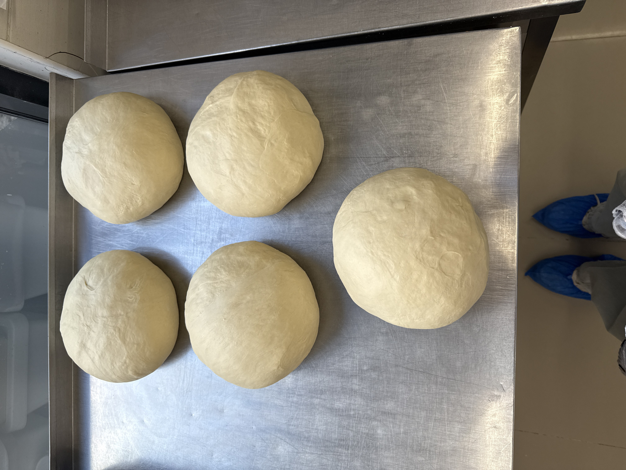 The image shows six pale dough balls arranged on a stainless steel surface, likely a countertop or tray. A corner of what appears to be a refrigerator is visible to the left. To the right, a person's legs and feet, covered in blue shoe covers, are partially visible. The overall scene suggests a bakery or food preparation environment. The location is unknown beyond the metadata.