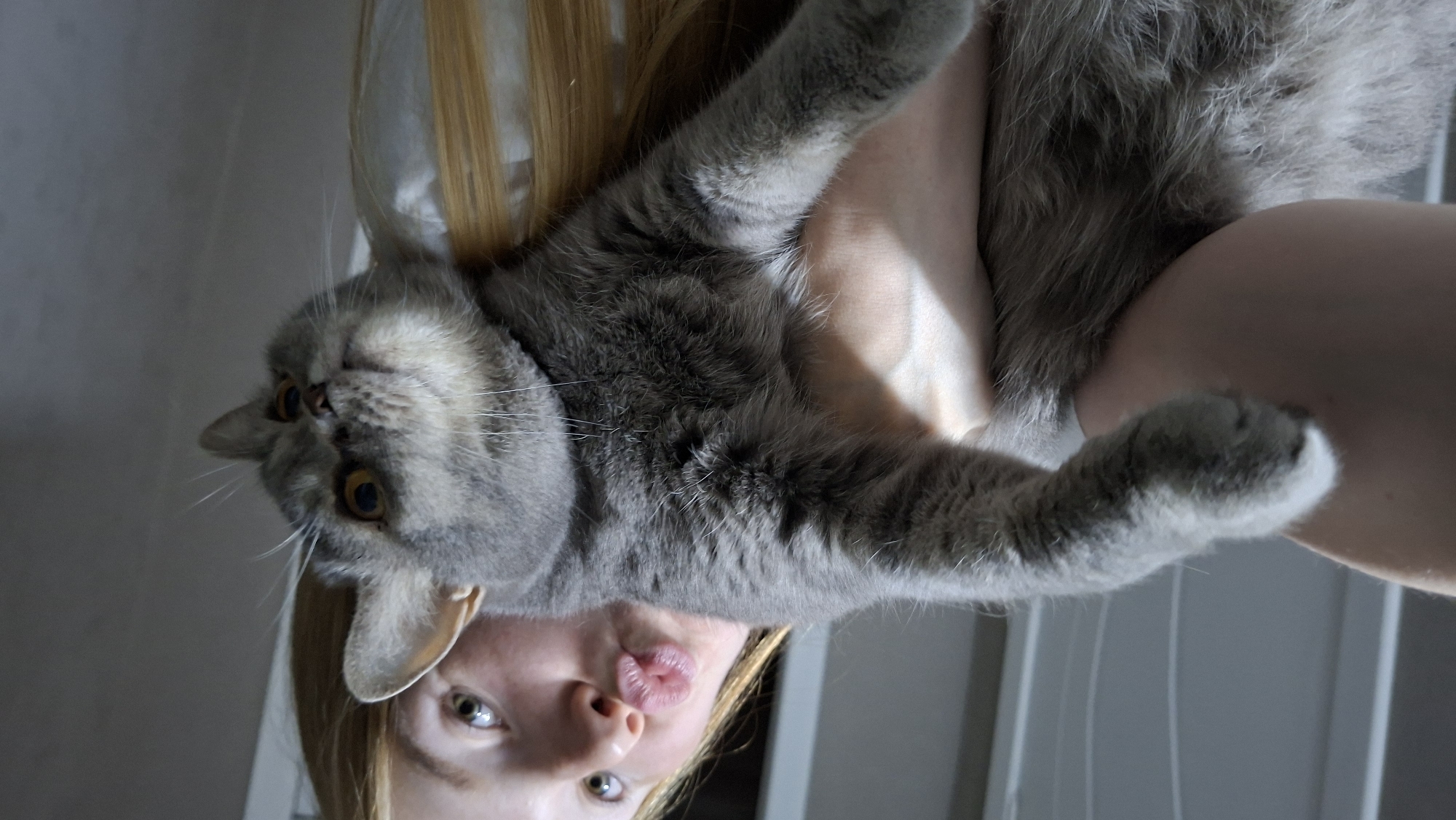 A young woman with blonde hair is holding a grey cat. The woman is looking at the camera and puckering her lips. The cat is looking away from the camera. The background is a light-colored wall. The scene appears to be indoors, possibly in a residential setting. There is no information in the image to indicate the location in the city of Chaikovsky, Russia.