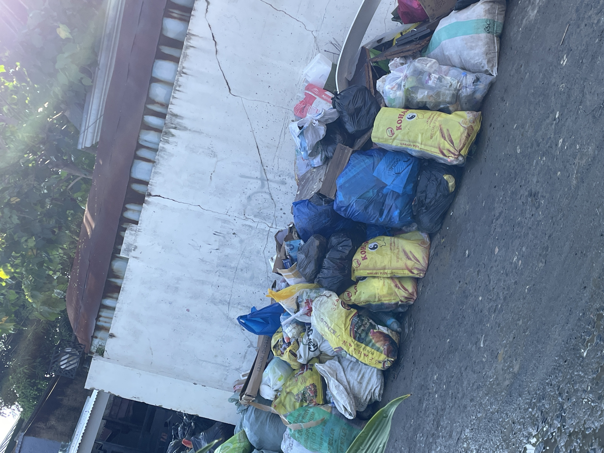 The image displays an outdoor scene in Davao City, Philippines, during bright daylight, characterized by a significant accumulation of waste materials. The ground in the foreground is dark concrete, appearing damp in areas.
A large, disorganized pile of garbage and discarded items dominates the right and central portions of the frame. This pile includes numerous black, blue, and white plastic trash bags, some transparent and revealing contents like plastic bottles and various refuse. Several large sacks, likely for rice or animal feed, are prominent; multiple yellow sacks clearly show the text "KOHAKU PLUS JASMINE SPECIAL FRAGRANT." Other visible text on sacks and packaging includes "SPARTAN KINDS POWER GRAIN," "MESO," "RIGHT OF MILLER," "GSC," and "FOXS CHEI (WHITE)." Cardboard boxes and other miscellaneous debris are also part of the collection.
In the background, a white wall with extensive cracks runs horizontally, indicating an aged or damaged building structure. Above this wall, a rusty corrugated metal roof is visible. To the far left, lush green foliage from trees or bushes is present, illuminated by bright sunlight which causes a lens flare in the upper left corner. The scene depicts an area used for waste disposal or collection, highlighting a condition of environmental clutter.
