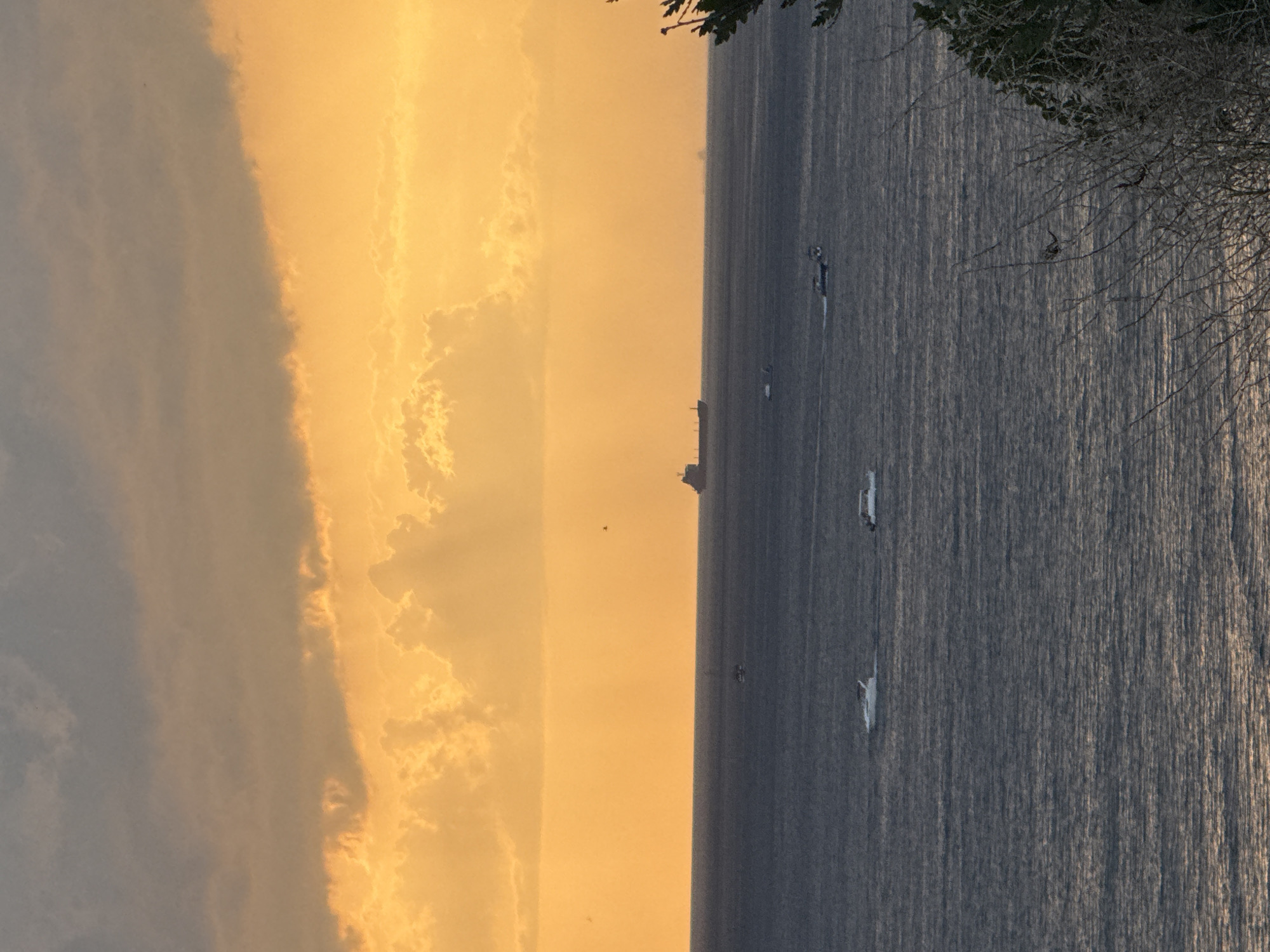 A wide-angle, eye-level shot captures a serene seascape at sunset, likely near Gelendzhik, Russia. The sky is dominated by vibrant orange and yellow hues, with textured clouds suggesting the sun is low on the horizon. The sea below is a deep, calm blue, with gentle ripples reflecting the sky's warm glow. Several small white boats are dotted across the water, appearing to be leisure craft. Further in the distance, a large cargo ship is silhouetted against the bright sky, hinting at maritime activity. The foreground features the upper branches of a dark green tree, partially obscuring the view and adding a natural frame to the scene. The overall impression is one of tranquility and natural beauty.