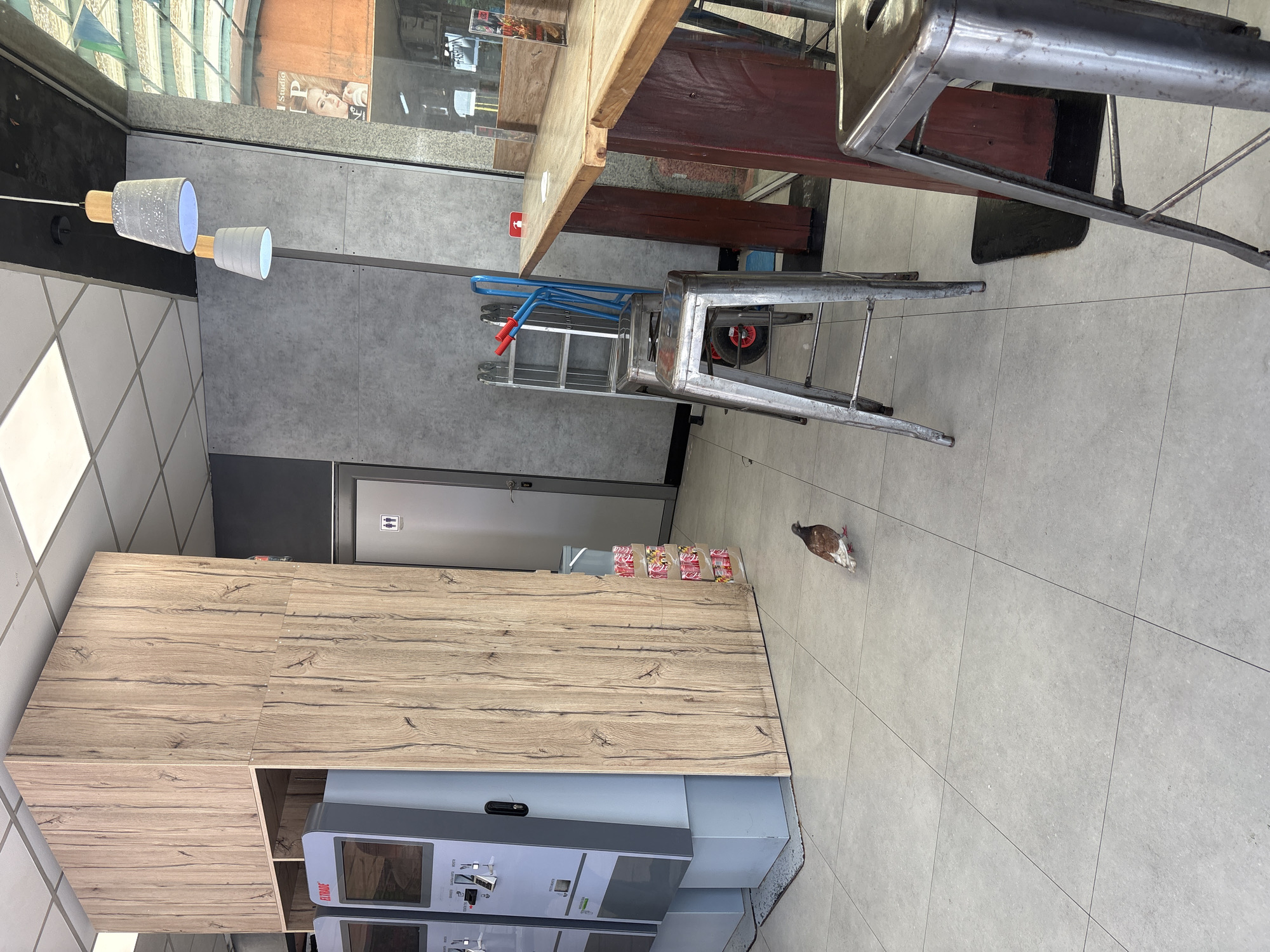 A pigeon walks on a light gray tiled floor inside a commercial establishment. To the left of the pigeon, there are two light gray kiosks with screens. Behind the kiosks and to the right, a wooden paneled wall extends upwards. Further to the right, there is a gray door with a male and female restroom symbol on it. Adjacent to the kiosks, stacks of canned drinks are visible. In the mid-ground, a metal ladder with red handles and a blue wheeled cart are positioned next to metal stools. A long wooden counter with dark brown legs extends into the right side of the frame, with additional metal stools around it. The ceiling features square panels and lighting fixtures. The environment appears to be an indoor public space.