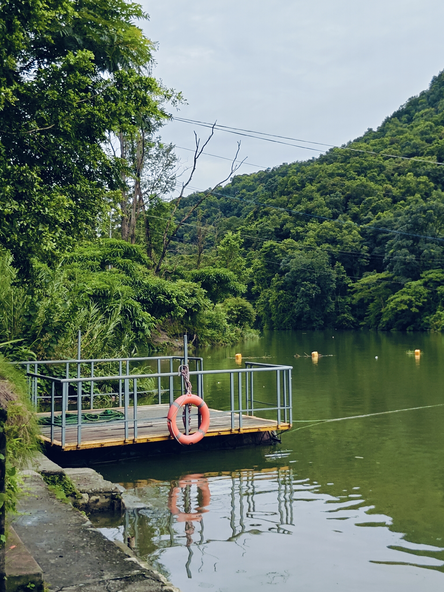 The image depicts a serene scene at Phewa Lake in Pokhara, Nepal. In the foreground, a wooden platform with a metal railing juts out into the calm, green water. An orange life preserver hangs from the railing, its reflection visible in the water below. To the left of the platform, stone steps lead down to the water's edge, covered in moss and small plants. The background is dominated by a lush, tree-covered hillside, typical of the Pokhara Valley. The sky is overcast, contributing to the subdued lighting of the scene. No people are visible in the image. Several yellow buoys are scattered across the lake surface.