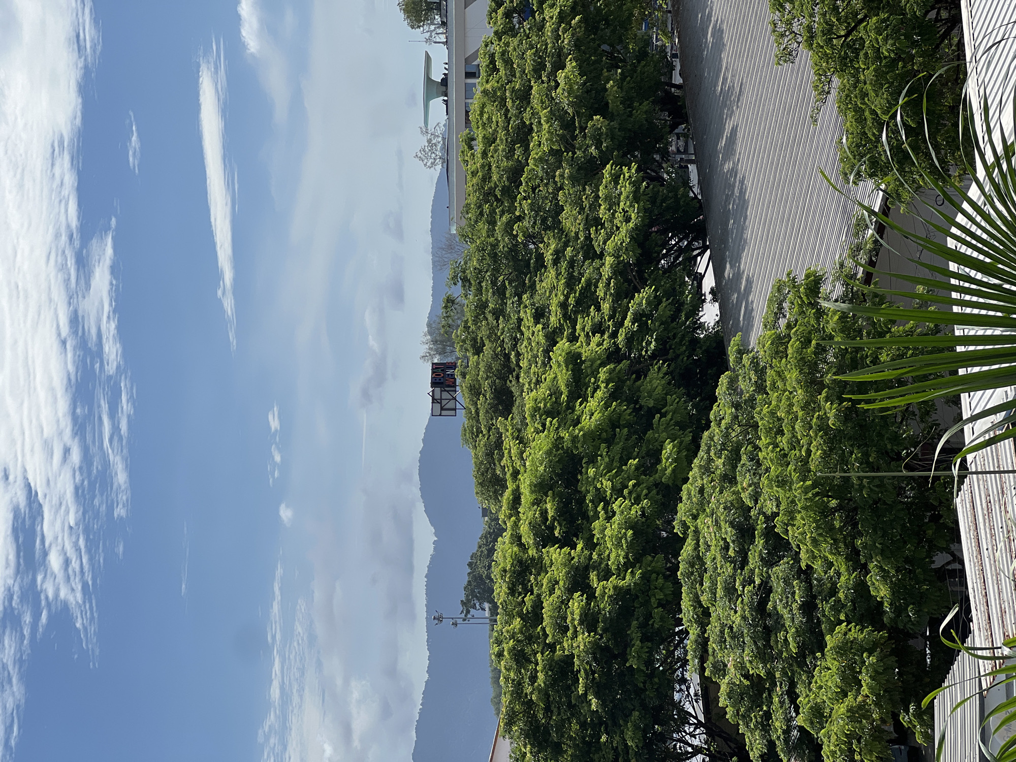 A scenic view of lush green trees, mountains in the background, and a cloudy blue sky. In the foreground, metallic roofs of buildings are visible, and some palm fronds are in the lower part of the image. A billboard sign with the words "BOAT AVENUE" is also visible amongst the trees.
