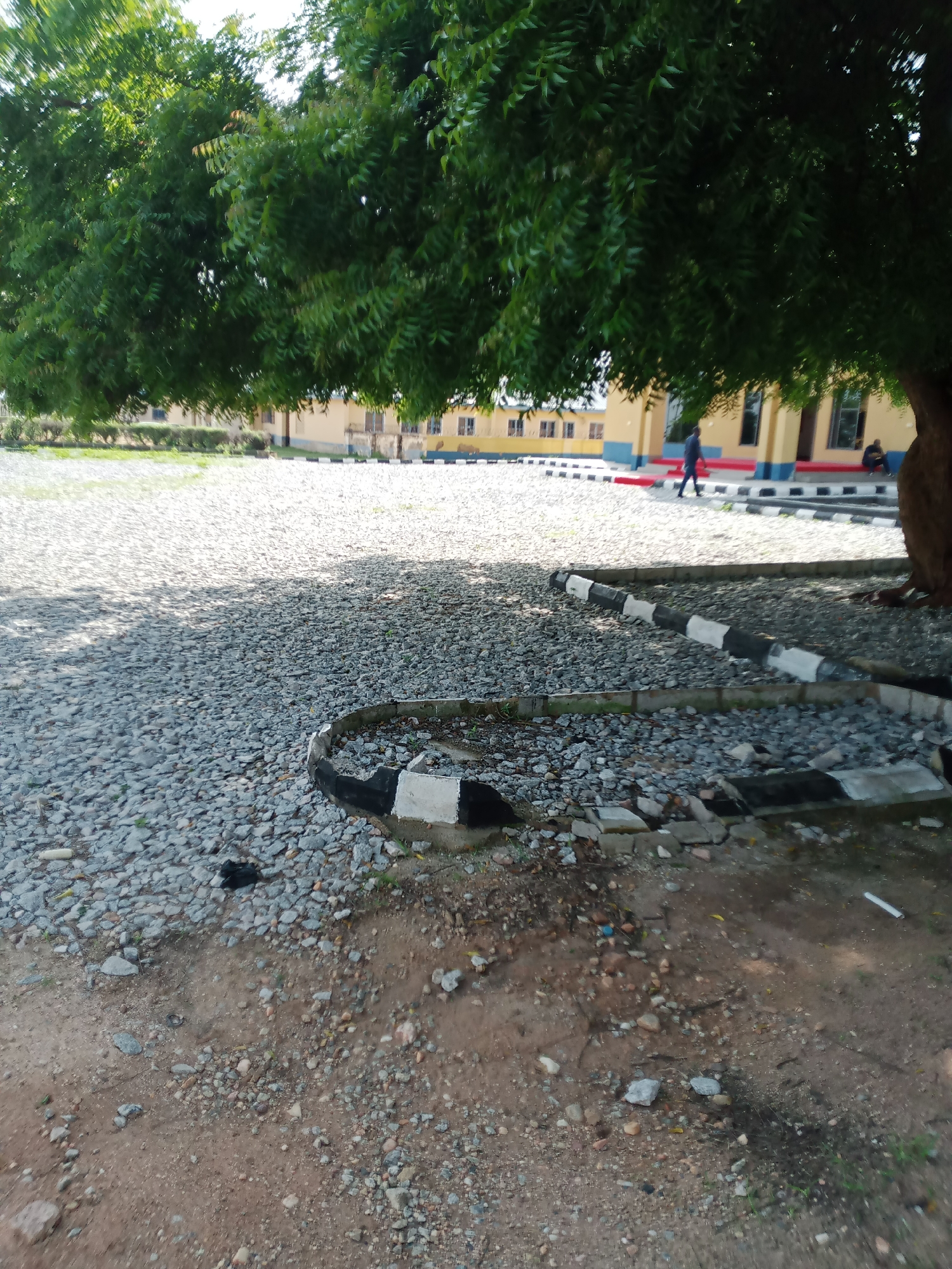 The image depicts an outdoor scene in Jalingo, Nigeria, under the shade of a large, leafy tree. The ground is covered with small grey gravel. In the background, a light yellow building with blue trim and numerous windows is visible. A red stripe runs along the base of the building, bordered by a black and white striped curb. A person in a dark shirt and pants is walking away from the camera towards the building. Another person is sitting near the building on the right side of the frame. The time of day appears to be daytime, with sunlight casting shadows from the tree onto the gravel. The weather seems clear and sunny. A decorative border made of alternating black and white rectangular blocks is present in the foreground. The overall impression is of an open area adjacent to a building, possibly a school or administrative complex. There is no visible text in the image.