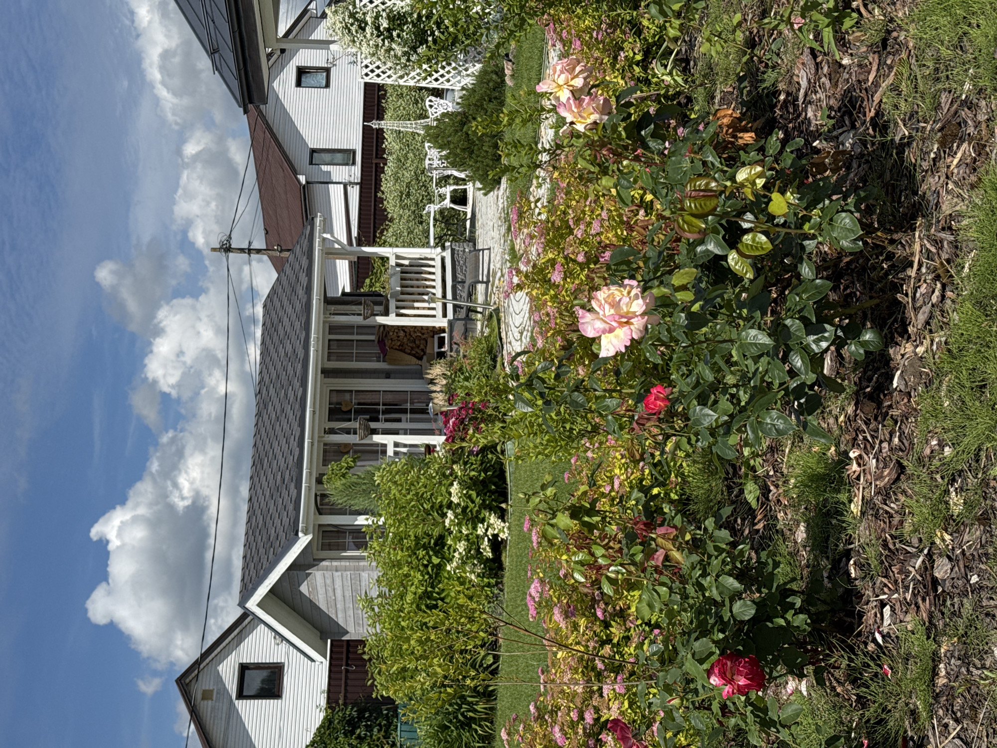 The image shows a residential backyard with a small house and lush greenery in the city of Oliki, Russia. The backyard features a well-maintained garden with various flowering plants, including roses and smaller pink blossoms. A small, grey wooden house with a white porch and railing is visible in the background, surrounded by dense bushes and trees. In the distance, other houses with tiled roofs and white siding are seen, along with a white lattice fence and outdoor furniture. The sky is blue with scattered white clouds, suggesting a pleasant day. The ground is covered with grass and mulch. There are no people or animals visible in the image.