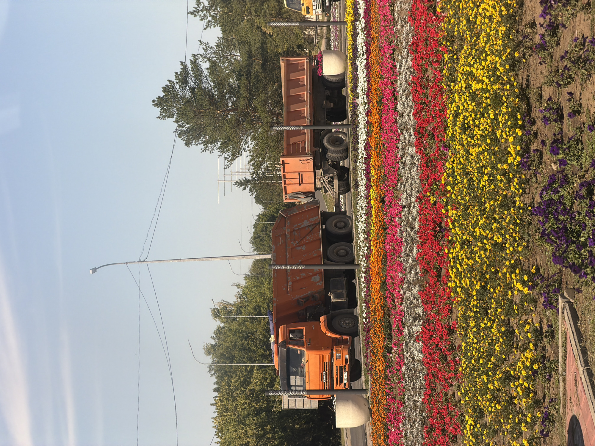 An orange dump truck with a trailer is parked on a street in Pavlodar, Kazakhstan, next to a vibrant flowerbed. The flowerbed displays rows of yellow, red, pink, white, and orange flowers. The truck is on the left side of the image, and a smaller yellow vehicle is partially visible on the right. The sky is clear and blue, with a few wispy clouds. In the background, there are trees and streetlights.