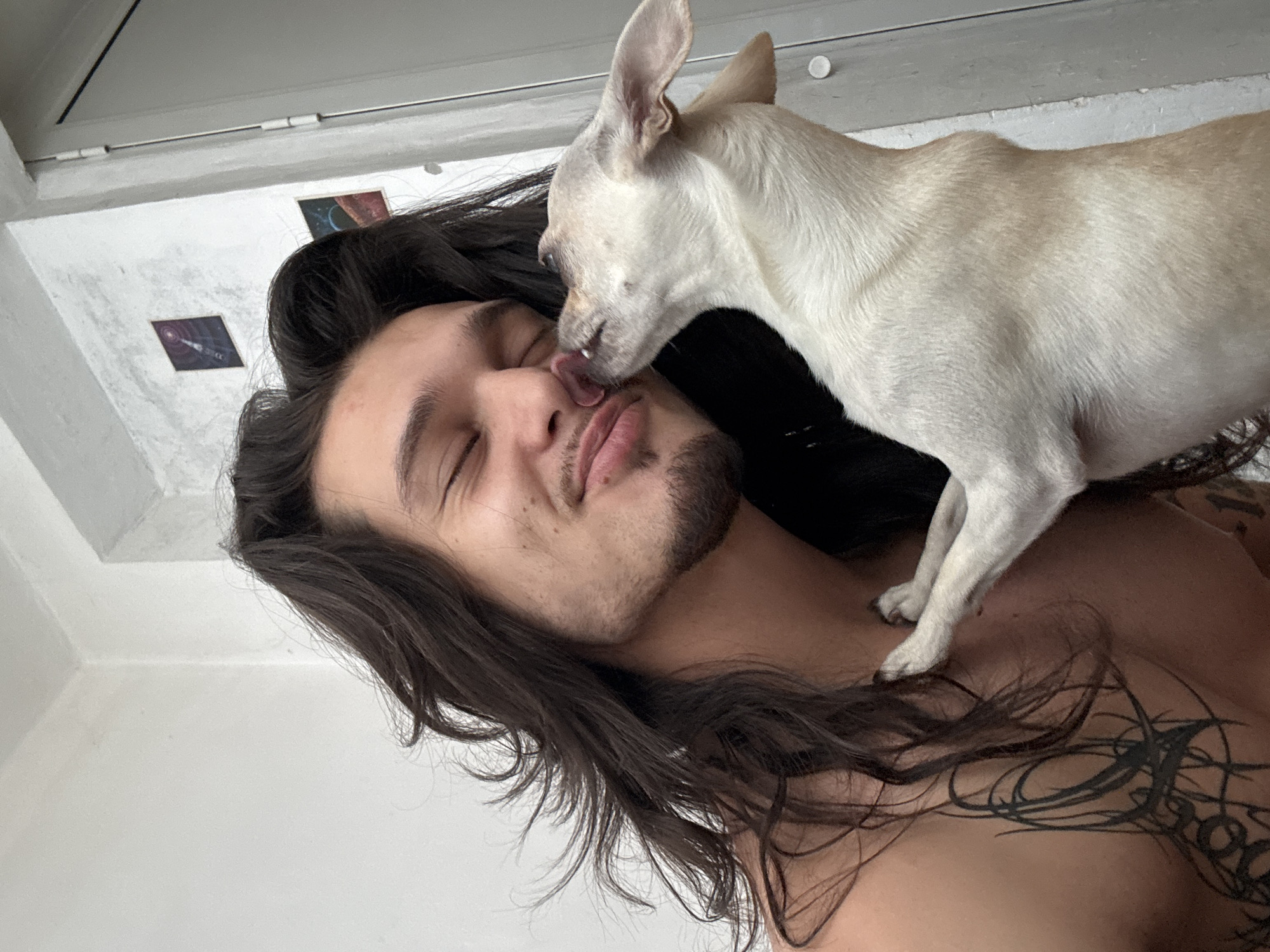 A young man with long, dark, wavy hair and a short beard is shown in a close-up selfie. His eyes are closed, and he has a slight smile as a small, light-colored dog, likely a chihuahua, licks his nose. The man is shirtless, revealing a tattoo on his chest and shoulder. The background appears to be an indoor setting with a white wall, a door, and two small framed pictures on the wall. The lighting is natural and soft. There is no visible indication of the location being in Sofia, Bulgaria.