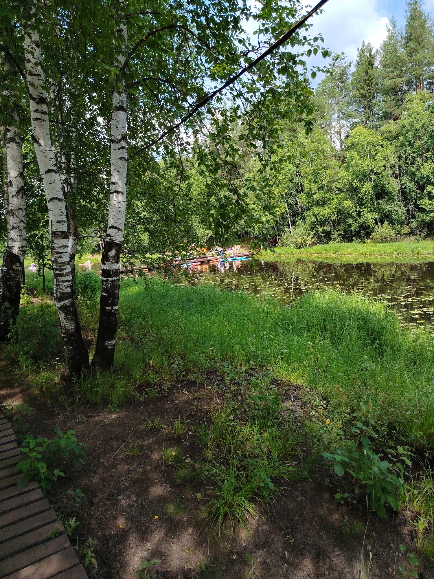 In the city of Vylytdor, Russia, a sun-dappled forest landscape unfolds along a tranquil body of water. In the foreground, the textured wooden planks of a pathway lead the eye towards the lush, green bank of the river. Several birch trees with their distinctive white bark and dark markings stand tall, their leaves filtering the sunlight. The river itself is a dark, reflective surface, dotted with lily pads and the reflections of the surrounding trees.
On the far side of the river, a dense forest of green foliage creates a verdant backdrop. Along the water's edge on the opposite bank, a cluster of colorful kayaks and possibly paddleboards are gathered, suggesting recreational activity. A group of people, some standing and some seated in the kayaks, are visible, their presence indicating a leisurely outing on the water. The sky above is a bright blue with scattered white clouds, completing the serene outdoor scene.