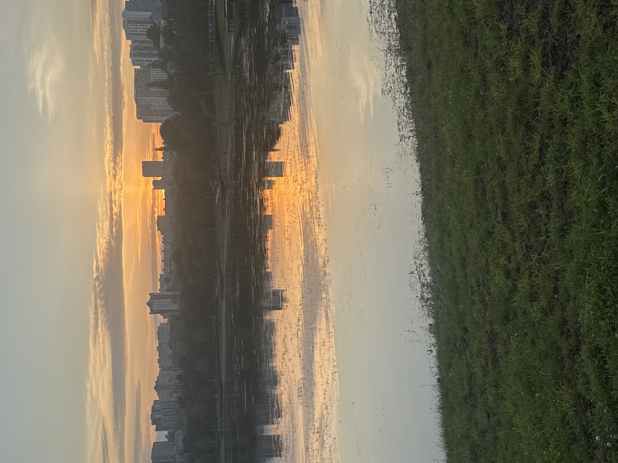 This photograph captures a sunrise over the city of Ufa, Russia, as seen from the embankment of the Belaya River. The sky is awash with the warm hues of dawn, ranging from soft oranges and yellows near the horizon to pale blues and whites higher up. Wispy clouds are illuminated by the rising sun, which is partially obscured by the city's skyline.
The cityscape is dominated by modern apartment buildings and other structures, silhouetted against the vibrant sky. A dense line of trees separates the city from the river, forming a verdant band across the mid-ground. The Belaya River itself is calm, its surface reflecting the colors of the sky and the city, creating a mirror-like effect. The water is dotted with patches of aquatic vegetation.
In the foreground, a grassy embankment slopes down towards the water. The grass is a rich green, with some areas appearing a bit darker and more worn, suggesting a well-trodden path or natural variations in growth. There are no people prominently visible in the frame, implying a quiet, early morning scene. The overall impression is one of tranquility and the beauty of a new day beginning in an urban setting.