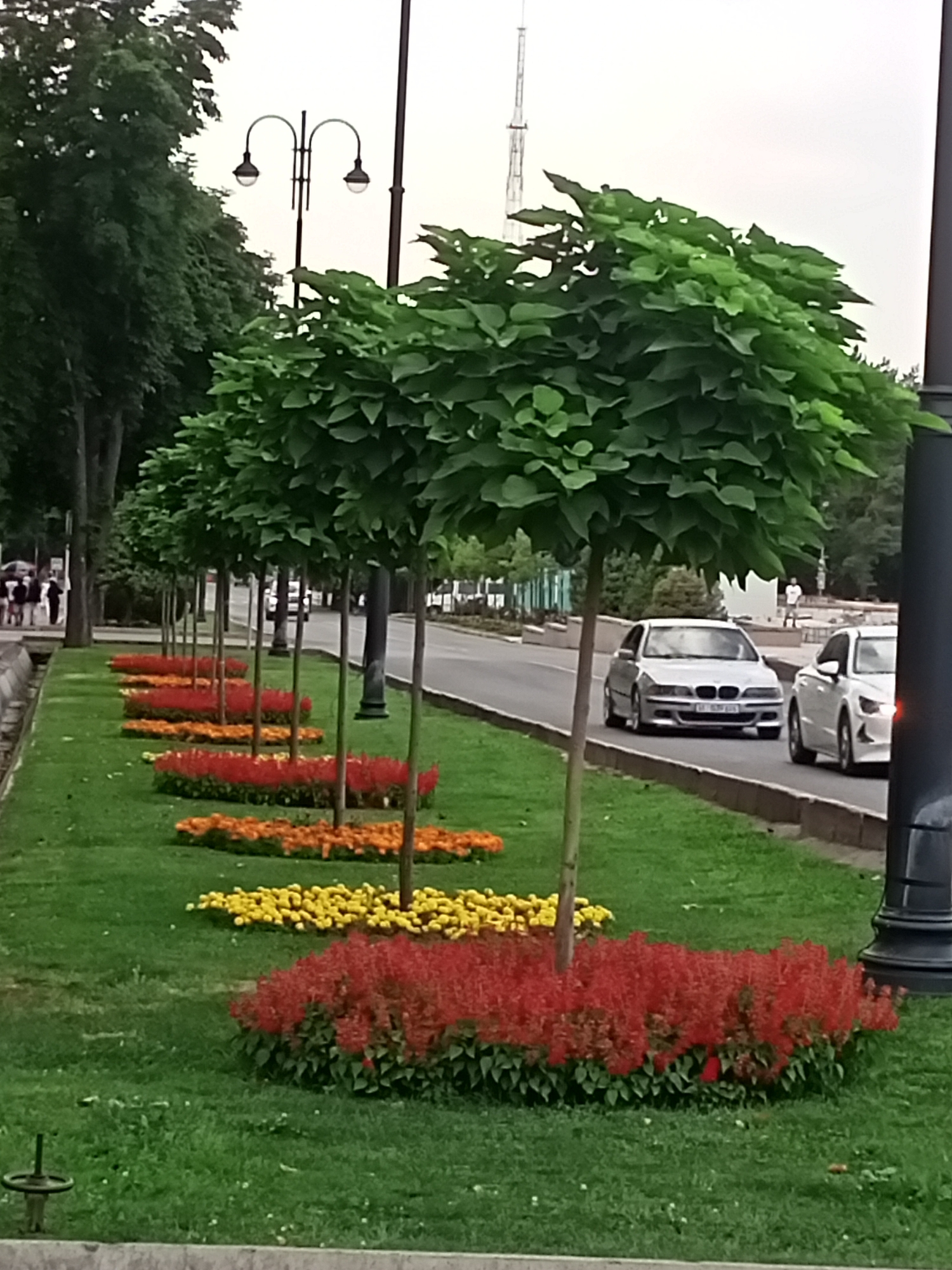 The image depicts a street scene in Bishkek, Kyrgyzstan. In the foreground, a manicured garden bed features rows of vibrant red, orange, and yellow flowers, interspersed with meticulously pruned trees lining a grassy median. The trees are spaced evenly, their green canopies forming a uniform line. Beyond the median, a paved road carries a silver BMW and a white sedan. In the background, a lamppost stands tall, and the faint silhouette of a tower pierces the overcast sky. The overall impression is one of urban beautification and order.