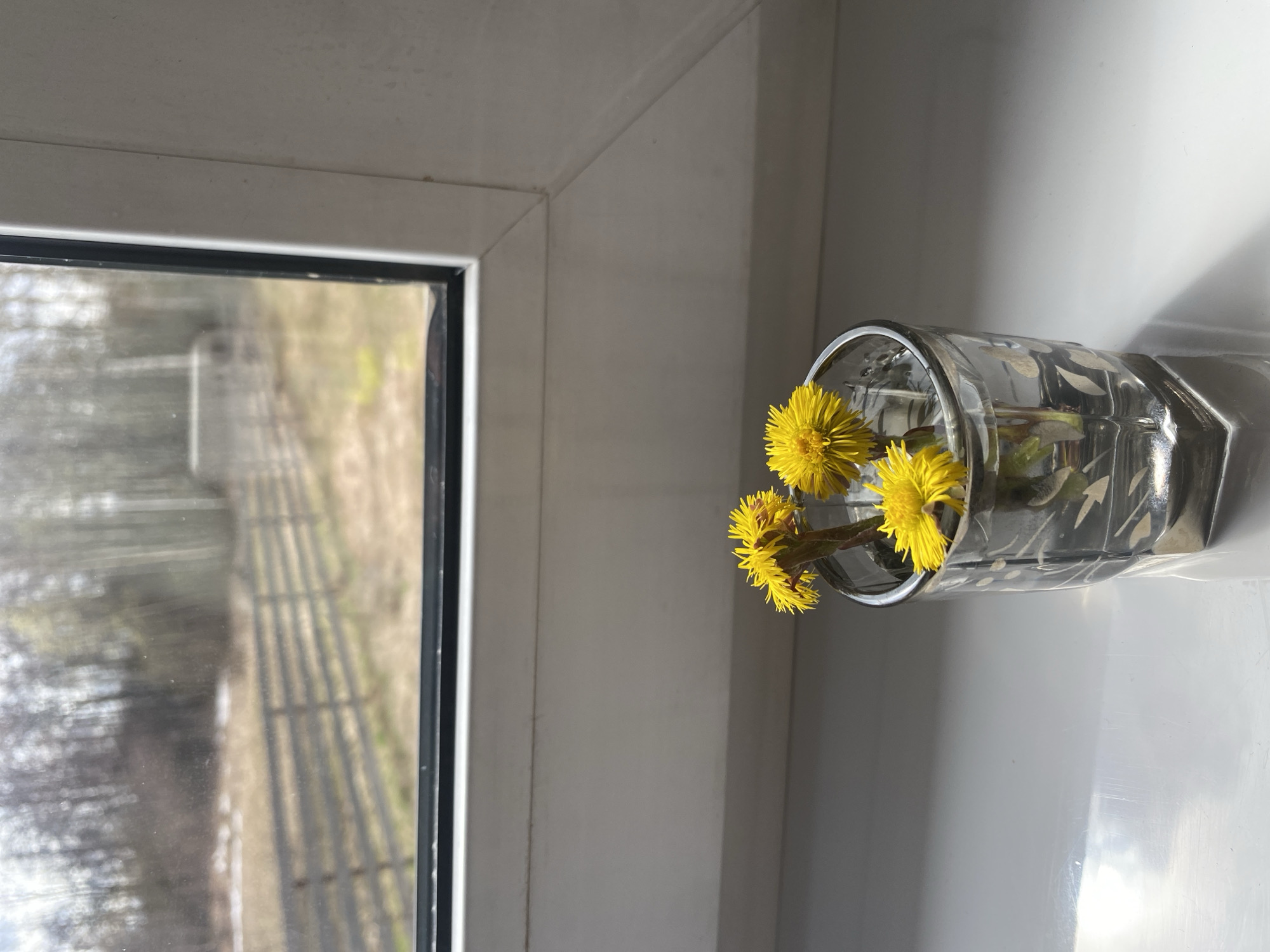 A glass vase containing yellow flowers sits on a white windowsill. Outside the window, a blurry view of a rural landscape with bare trees and what appears to be a wooden fence is visible. The location is identified as Zhigalki, Russia, though there are no elements in the image to independently verify this claim.