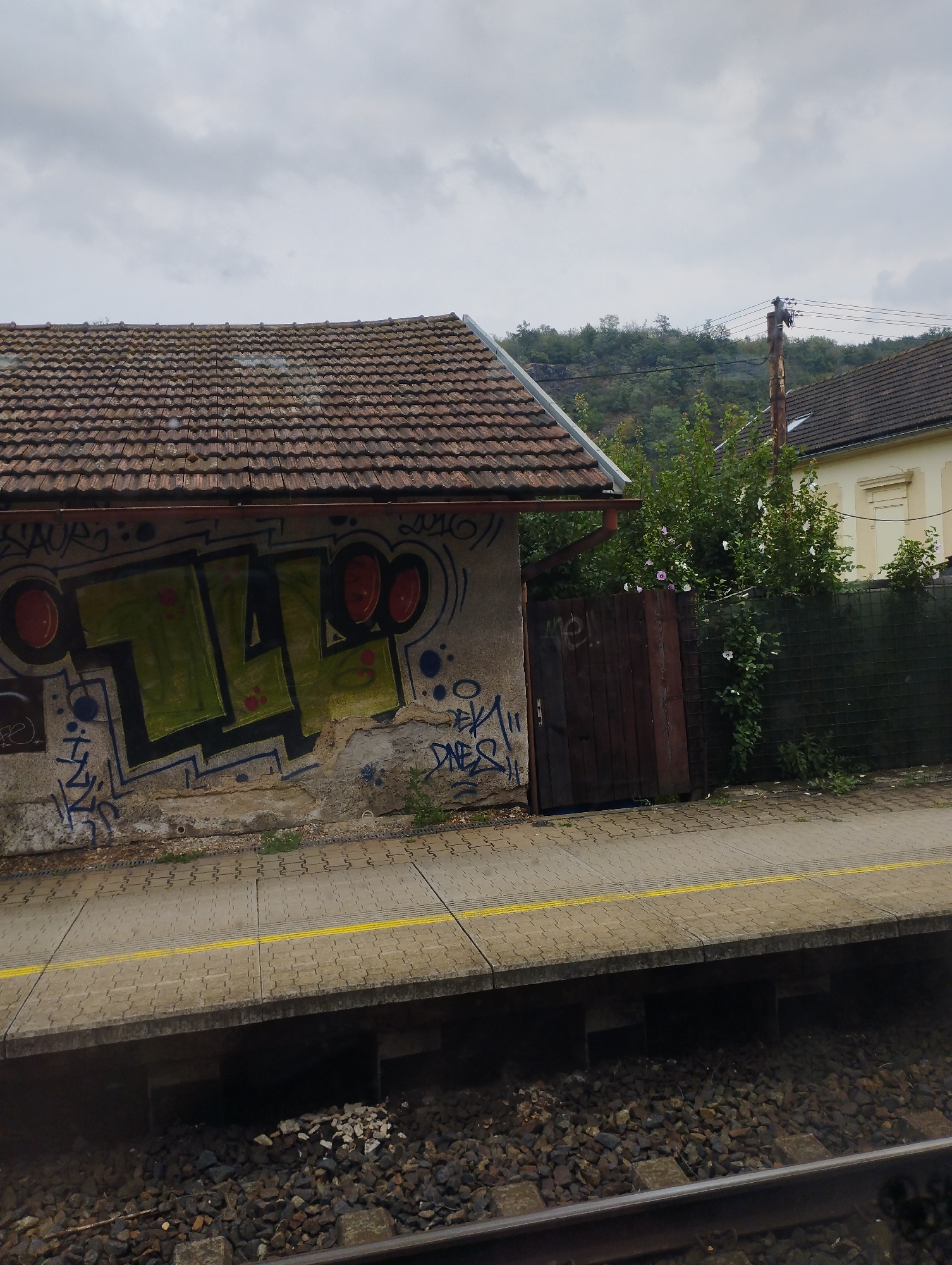 The image shows a grey, overcast sky above a row of buildings and vegetation. In the foreground, a train platform with a yellow line runs along the edge. A railway track is visible below the platform.

To the left, a small building with a tiled roof features graffiti on its wall. The graffiti includes a large, green, stylized lettering, possibly "TLW," with red dots and blue spray paint elements. A wooden door is visible on the right side of this building.

Behind the building, a fence with greenery and some flowering bushes is present. Further back, a larger building with a light-colored facade and a tiled roof is visible, along with a telephone pole and overhead wires. The background consists of a wooded hillside.

The scene appears to be a rural or semi-rural area, likely near a train station. Given the location context of Řež, Czechia, this could be a small, local train stop. The overall impression is one of a functional, somewhat weathered, urban periphery.