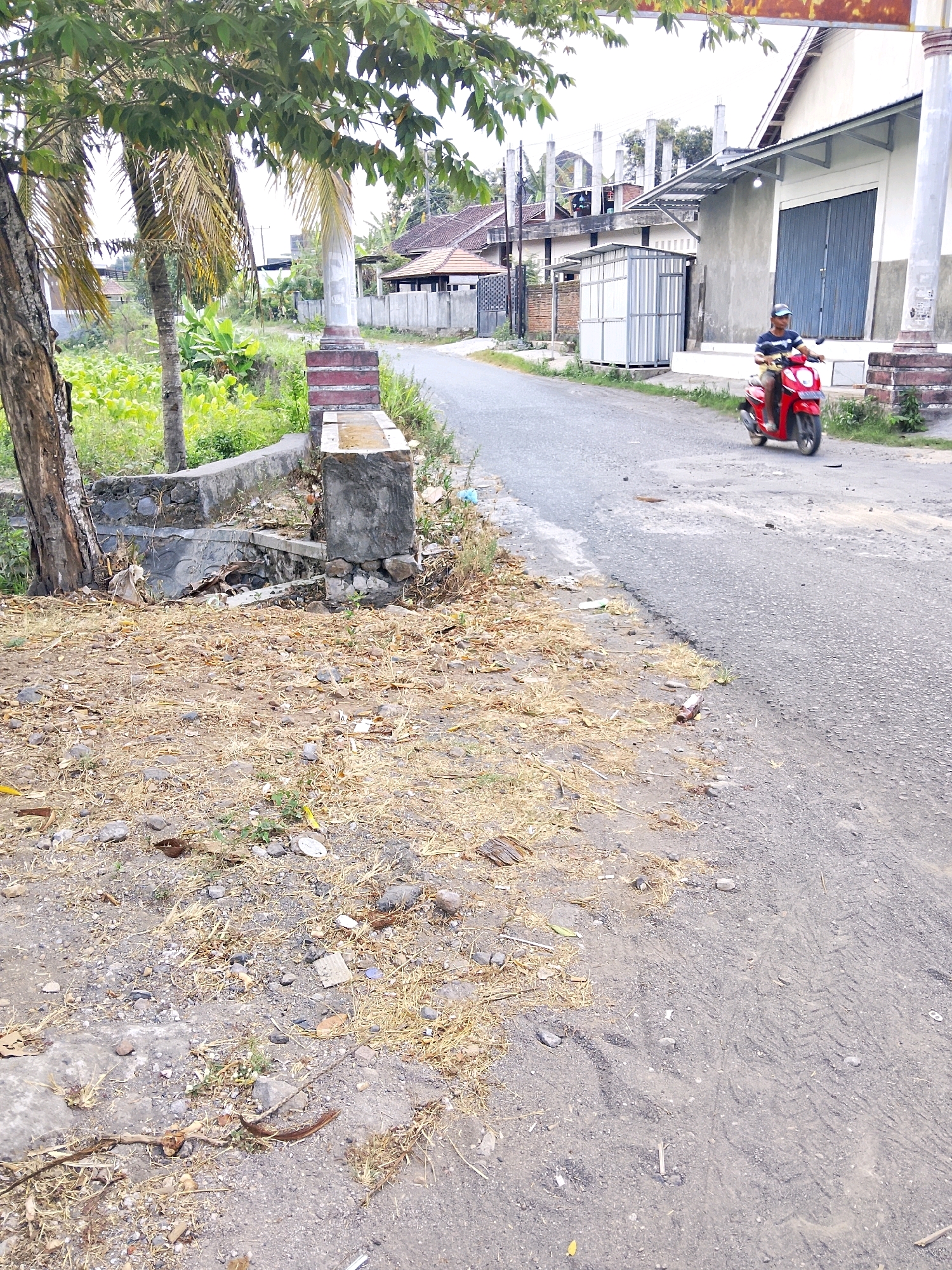 The image shows a rural road in a tropical or subtropical environment. A person is riding a red motorcycle on the right side of the road. The road is paved and appears to be in disrepair in places. On the left side of the road, there is a concrete structure that appears to be part of a bridge or culvert, overgrown with vegetation. Further left, there are trees and dense green foliage. In the background, there are several buildings, including a white building with a blue garage door and what appears to be a construction site with scaffolding. The ground along the side of the road is covered with dry grass, leaves, and debris. The sky is overcast.