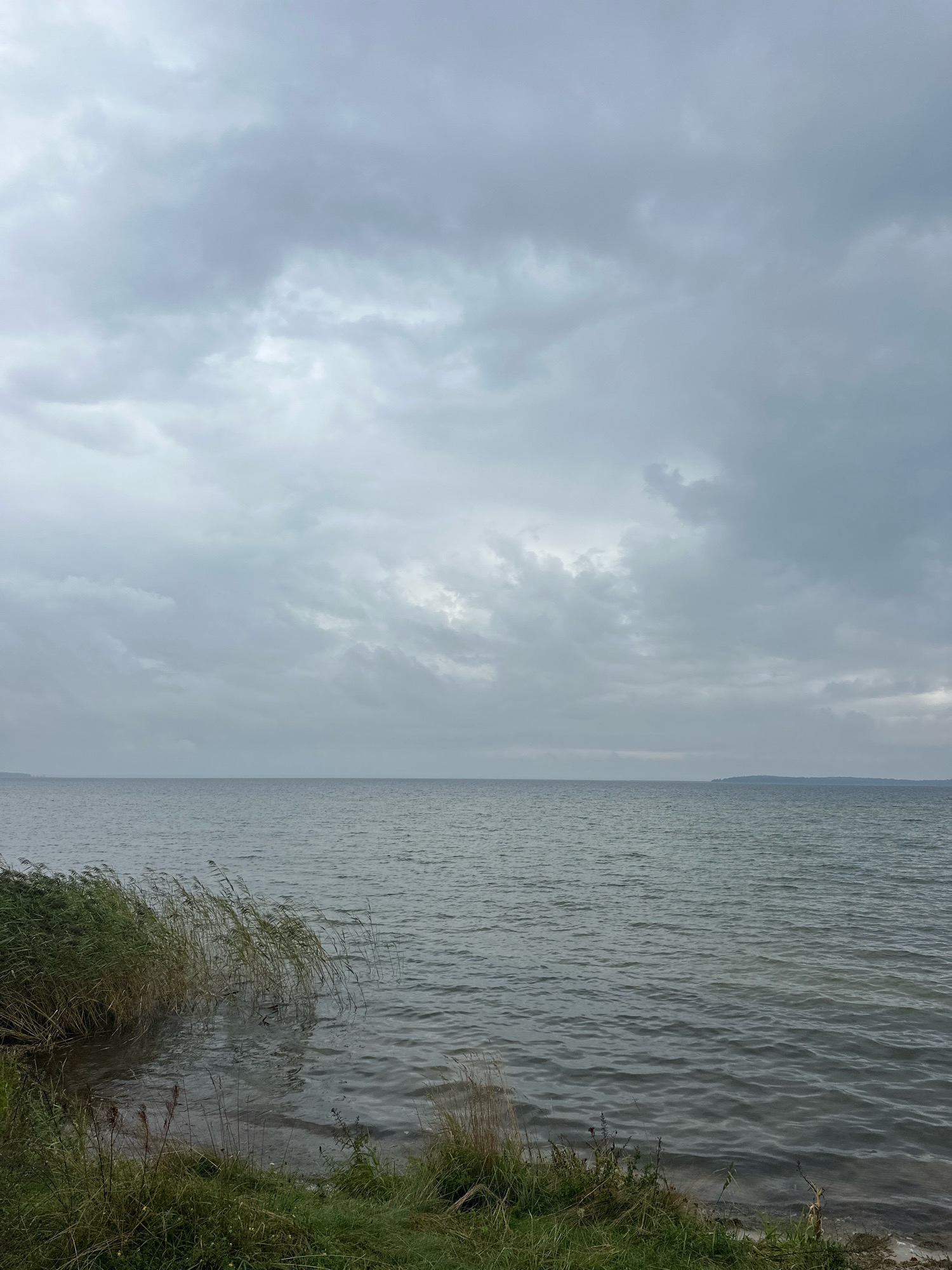 A body of water, likely a lake, under a cloudy sky is shown from a shoreline. The water is grey and rippled, with a distant, indistinct landmass visible on the horizon. The foreground consists of green grass and reeds growing along the edge of the water. The overall atmosphere is overcast and somber. The location is the Narochansky Selsoviet, Belarus.