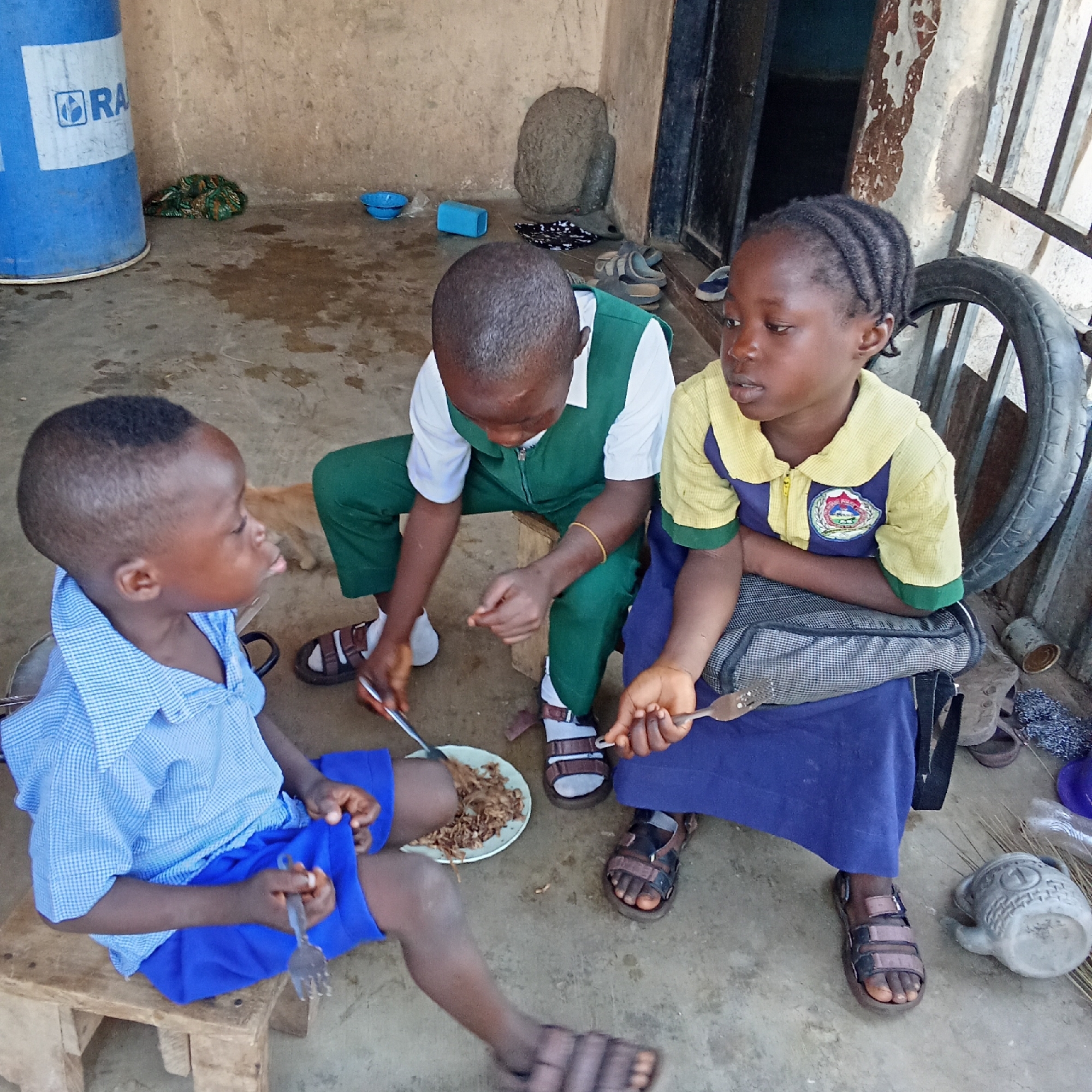 The image depicts three children sharing a meal in an outdoor or semi-outdoor setting, likely a shaded porch or courtyard, in Akwanga, Nigeria. The ground is a concrete or dirt surface, with a rough, light brown wall and a dark doorway with a metal gate in the background.
On the left, a young boy, estimated to be 5-7 years old, sits on a low wooden stool, wearing a light blue checkered short-sleeved shirt and blue shorts. He holds a fork in his right hand. In the center, an older boy, possibly 8-10 years old, squats or kneels, dressed in a white shirt under a dark green sleeveless top and matching trousers, also holding a fork. To the right, a girl, similar in age to the central boy, sits with braided hair, wearing a yellow and blue collared shirt (suggesting a school uniform) and a blue skirt, with a patterned bag on her lap. She holds a fork, gazing to her left.
The children are focused on a white plate placed on the ground between them, containing a portion of brownish, shredded-looking food, which they are sharing. The central boy appears to be scooping or distributing the food on the plate.
Various objects are visible in the scene: a blue plastic barrel with the partial text "RA" and a logo on the far left, several pairs of sandals on the ground, a blue plastic bowl, a large stone object near the doorway, a bicycle tire leaning against the metal gate on the right, and a grey pottery jug/cup near the girl's feet. A light brown cat is partially visible in the mid-ground. The natural, bright lighting indicates it is daytime.
