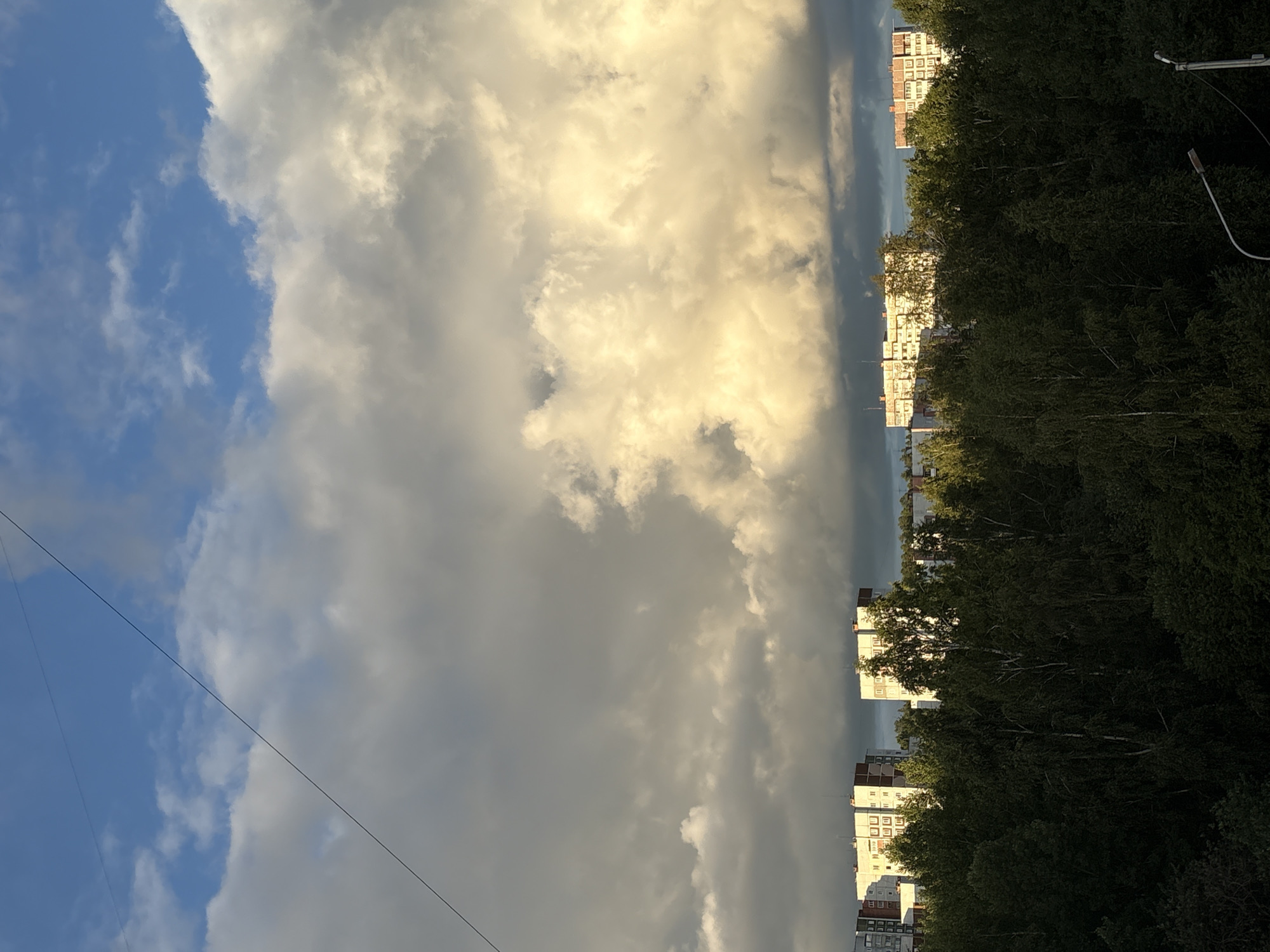 The image depicts a view of apartment buildings partially obscured by a dense line of trees in Bratsk, Russia. The sky above is dramatic, filled with large, textured clouds that are illuminated by sunlight, creating a contrast between bright highlights and darker, shadowed areas. A thin wire stretches diagonally across the upper portion of the sky. The buildings appear to be multi-story residential structures. The foreground is dominated by the dark green foliage of the trees.