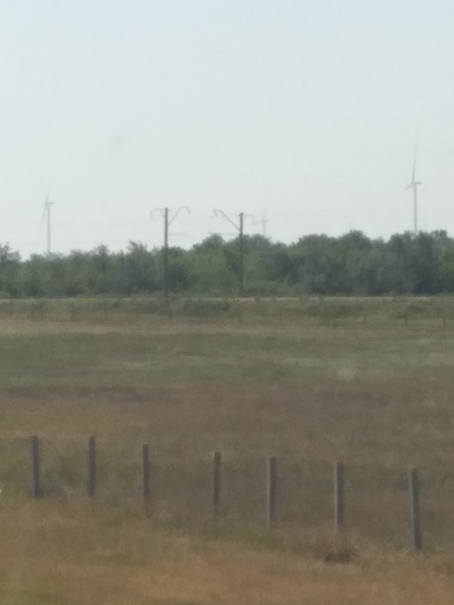 The image depicts a wide, open landscape under a hazy, overcast sky. In the foreground, a blurry field of dry grass is marked by a line of dark, vertical fence posts. Behind this field, a dense line of green trees stretches across the horizon, interrupted by the silhouette of power lines supported by tall, industrial poles. In the distance, several wind turbines are visible against the pale sky, suggesting a rural or semi-industrial area. The overall impression is one of a vast, somewhat desolate, and utilitarian environment.