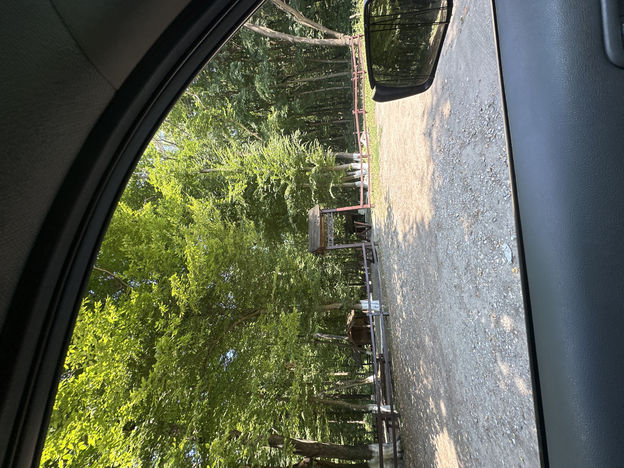 The image is taken from inside a vehicle, looking out through the windshield. The scene depicts a wooded area with a dirt and gravel clearing in the foreground. A wooden fence runs across the clearing, with several trees visible behind it. One tree has its lower trunk painted white. In the background, there is a wooden structure with a sign that appears to have Cyrillic lettering on it. The sign is mounted on an archway or entrance. Sunlight filters through the dense green foliage of the trees, casting shadows on the ground. A side mirror of the vehicle is visible on the right side of the image, reflecting the trees. The overall environment suggests a park or recreational area.