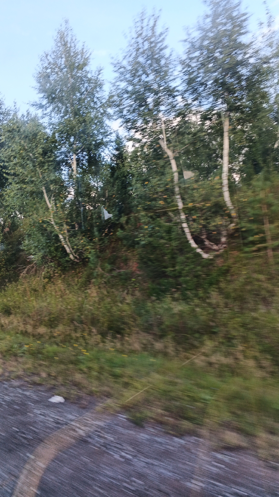 The image captures a blurred view of trees and vegetation, possibly taken from a moving vehicle. The sky above is a light blue. In the foreground, a blurry patch of ground with a gravel-like texture is visible. There is a small white object on the ground. The overall impression is of a natural environment, likely a roadside or a wooded area. The specific location in Buranovo, Russia, cannot be determined from the visual information alone.