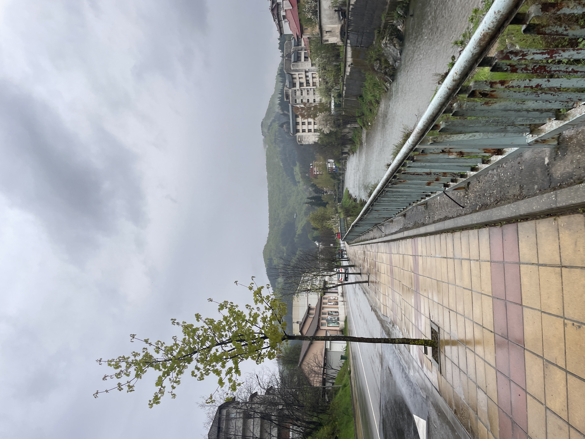 View from a bridge in Zlatograd, Bulgaria, on a cloudy day. The bridge has a metal railing, which is peeling. To the left, a river flows next to a street with small trees growing in the tiled sidewalk. Across the river is a town built into the side of a forested mountain. The sky is overcast. There are no people visible in the image.