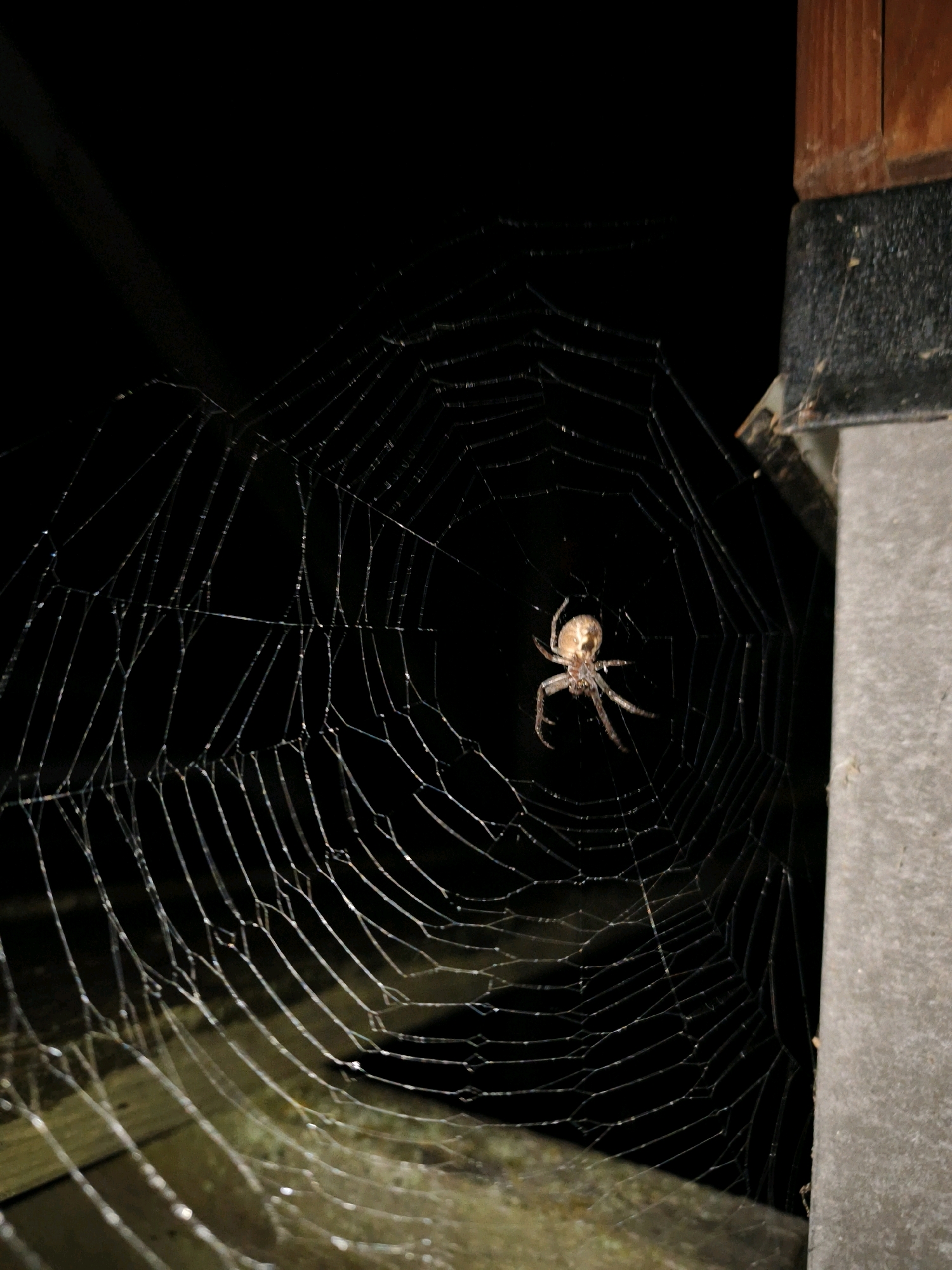 An outdoor, low-light photograph captures a spider meticulously constructing its web. The spider, a light brown arachnid with visible legs and body segmentation, is positioned at the center of the intricately woven web. The web's delicate threads shimmer, catching the available light and creating a luminous effect against the dark background. To the right of the frame, a weathered wooden post, likely part of an outdoor structure, stands vertically, its textured surface suggesting exposure to the elements. The background is a deep black, indicating nighttime or a heavily shadowed area. The location is a residential area in Kyviškės, Lithuania.