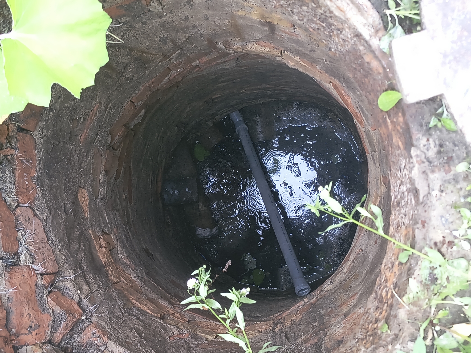The image shows the interior of a brick-lined well or manhole in Rivne, Ukraine. The well is filled with dark, murky water with visible ripples, suggesting recent rainfall or inflow. A gray plastic pipe extends horizontally into the water. The inner walls of the well are constructed from rough, reddish-brown bricks and appear aged and somewhat deteriorated. Green plants with small white flowers are growing around the rim of the well and also visible within the well's opening, with a large, light-green leaf partially obscuring the top edge of the well. The surrounding ground appears to be dirt and some concrete elements.