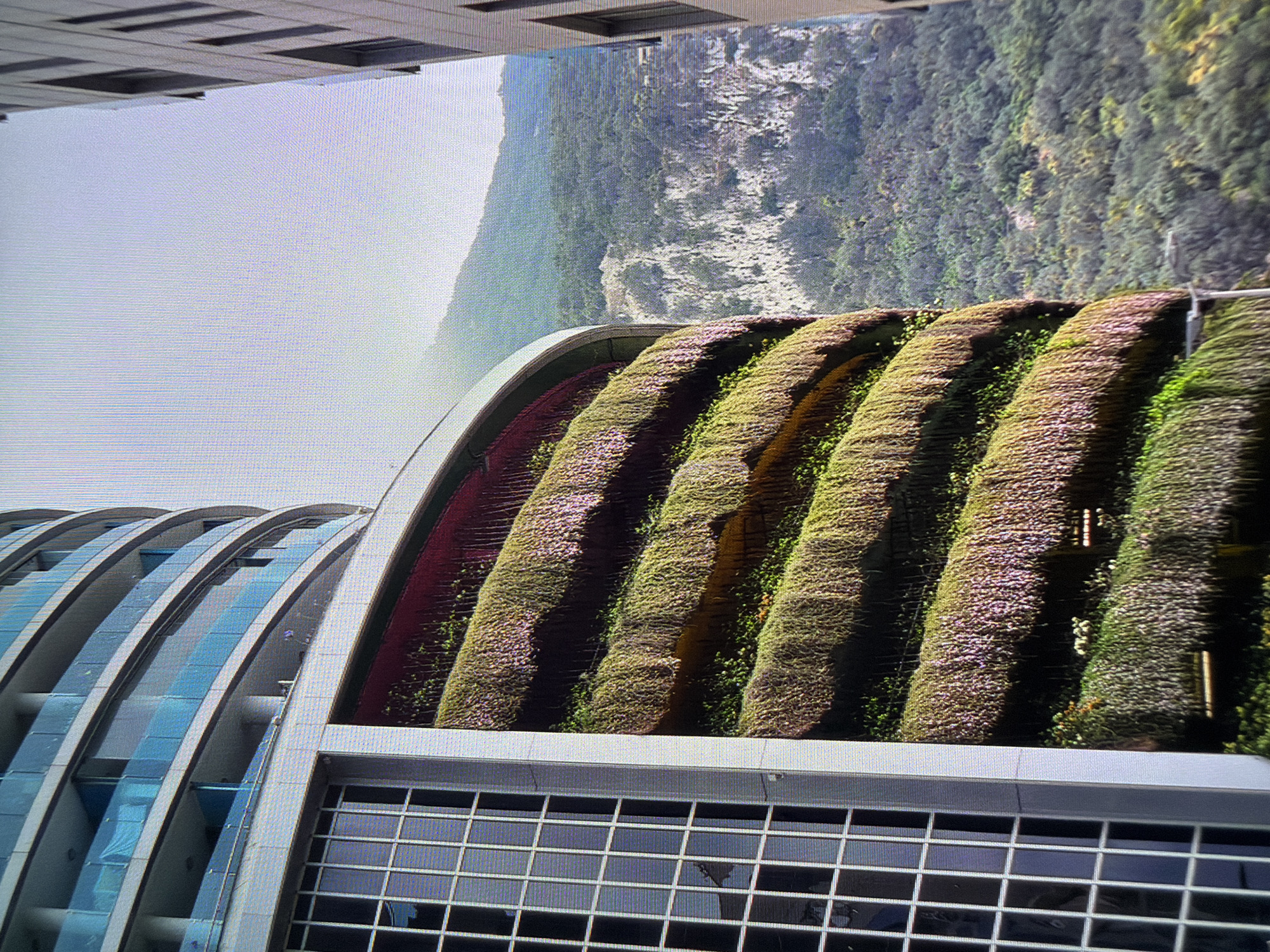 This is a photograph taken from an elevated perspective, showing a unique architectural design. The foreground features a modern building with a distinctive arched roof covered in lush greenery, resembling a vertical garden. The green facade is divided into segments, with rows of plants creating a textured, layered effect. Some of the plants appear to be flowering with small, purple blossoms.
Beneath the green roof, the building has a sleek, contemporary design with curved, glass-paneled sections and metallic framing. A large, grid-like window structure is visible at the bottom of the building.
In the background, a steep, densely forested mountainside rises towards a hazy sky. The mountain is covered in a variety of trees, creating a textured, green landscape. The overall impression is one of integration between nature and modern architecture. The lighting suggests it might be daytime, possibly late morning or afternoon, given the shadows and the brightness of the sky. The location context provided is Sant Antoni De Portmany, Spain, which could imply a warm climate suited for such extensive greenery. There is no visible text in the image.