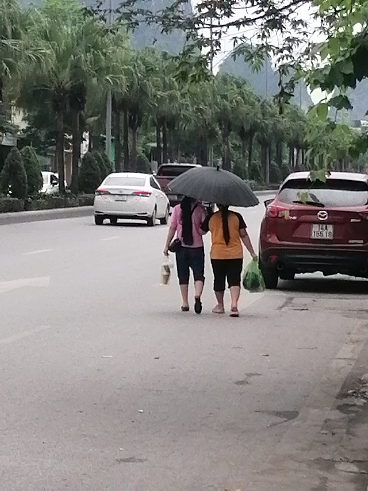 Two women are walking on a paved road under a black umbrella in Ha Tu Ward, Vietnam. One woman is wearing a pink shirt and dark shorts, carrying a white plastic bag. The other woman is wearing an orange shirt and dark shorts, carrying a green plastic bag. To the right of the women is a red Mazda SUV with license plate "14A 165.16". To the left of the women is a white sedan. A row of trees lines the road on both sides, with mountains visible in the background.