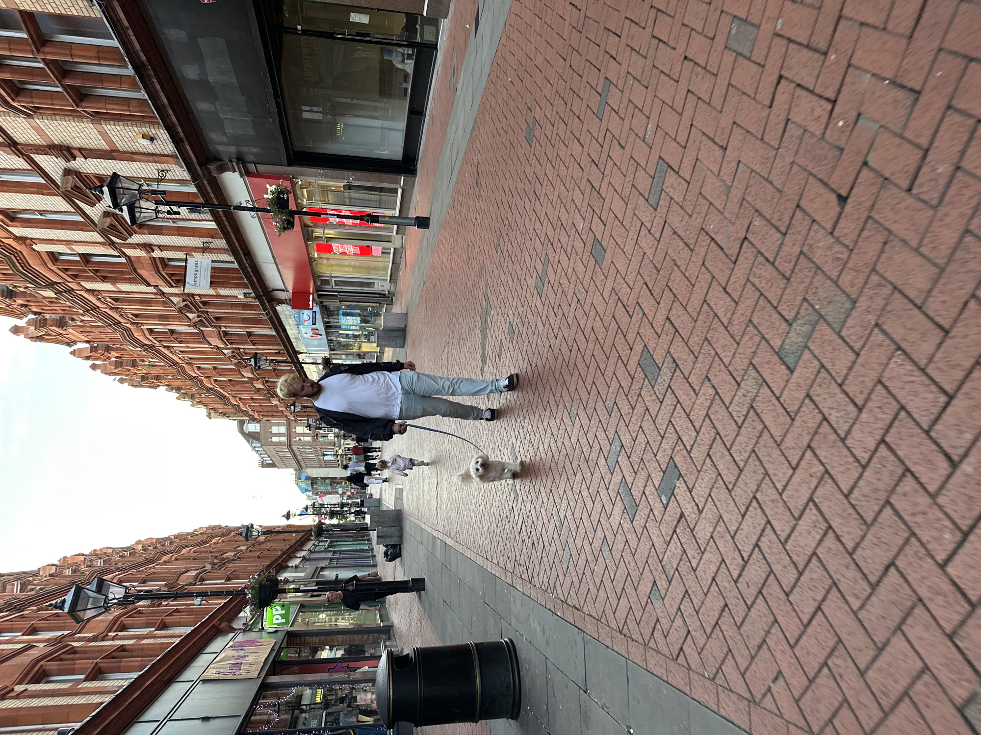 An outdoor, eye-level, wide-angle shot captures a pedestrianized street lined with ornate, red-brick buildings. A man, facing away from the camera, walks a small, white, fluffy dog on a blue leash down the center of the brick-paved street. The man wears a white t-shirt, light-colored jeans, and black sneakers. Further down the street, a young child in a pink outfit is walking away from the viewer. Other pedestrians are visible in the distance, and shops with large glass windows line both sides of the street. Streetlights with hanging flower baskets are intermittently placed along the sidewalk. A black trash bin stands on the left side of the street. The sky is overcast.