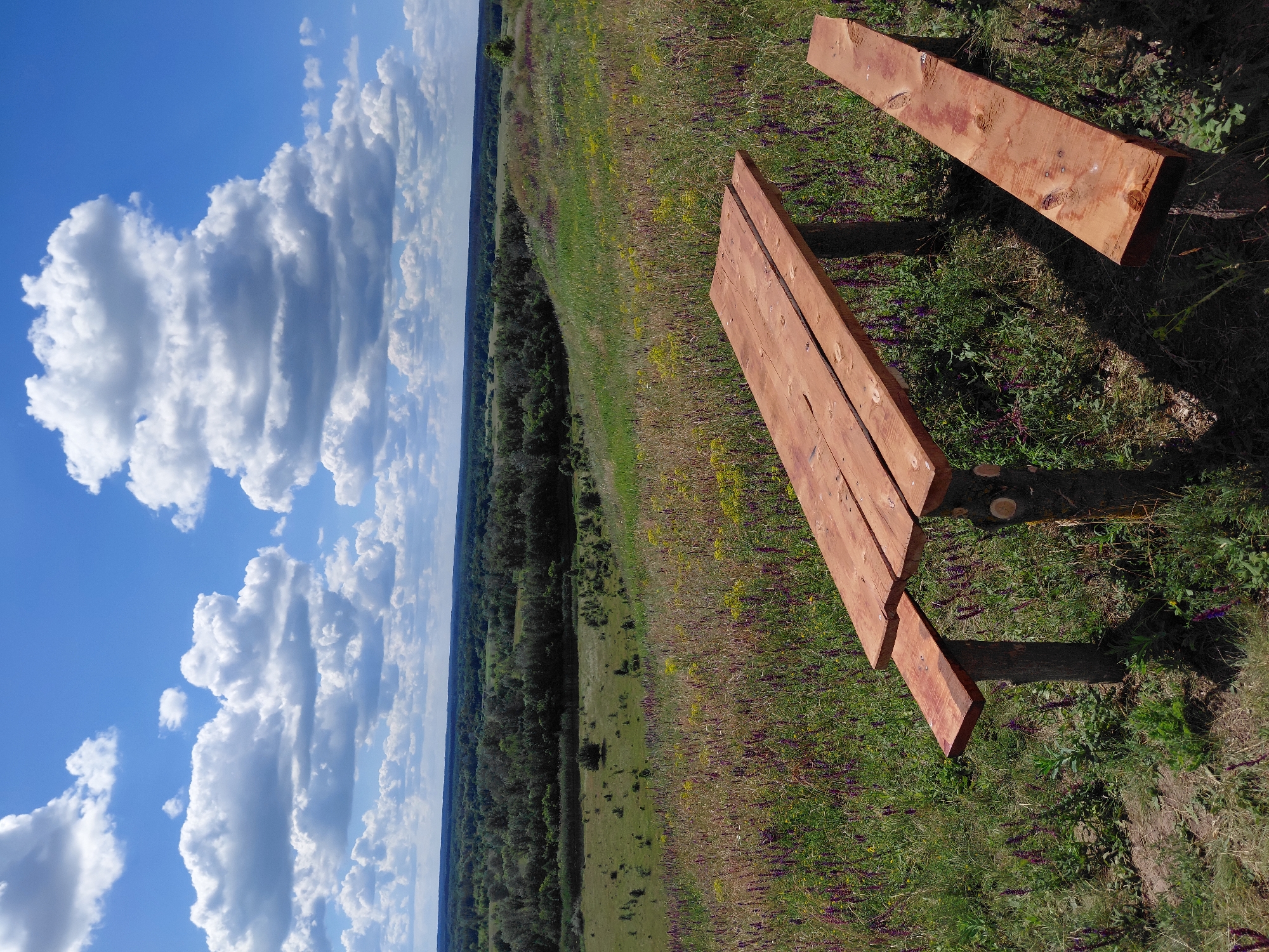 The image captures a scenic overlook in Ustyvytsia, Ukraine, featuring a wooden picnic table and bench set against a backdrop of a lush green landscape under a partly cloudy sky. The foreground is dominated by the rustic wooden furniture, positioned on a grassy incline dotted with purple and yellow wildflowers. The picnic table is constructed from rough-hewn planks, supported by thick, natural logs. To the right, a separate wooden bench sits slightly lower, also made of unvarnished wood.
The middle ground presents a rolling hillside covered in a dense field of wildflowers and tall grasses, sloping down towards a distant valley. The valley itself is a tapestry of green fields and a dense forest, with a winding river or stream faintly visible. The horizon is marked by a dark line of trees, beyond which the sky opens up.
The sky is a vibrant blue, populated by large, fluffy white cumulus clouds that cast shadows on the landscape below. The lighting suggests it is daytime, likely late morning or early afternoon, with the sun high in the sky. There are no people visible in the image, nor any indication of recent activity. The scene conveys a sense of tranquility and natural beauty, a common sight in the Ukrainian countryside.