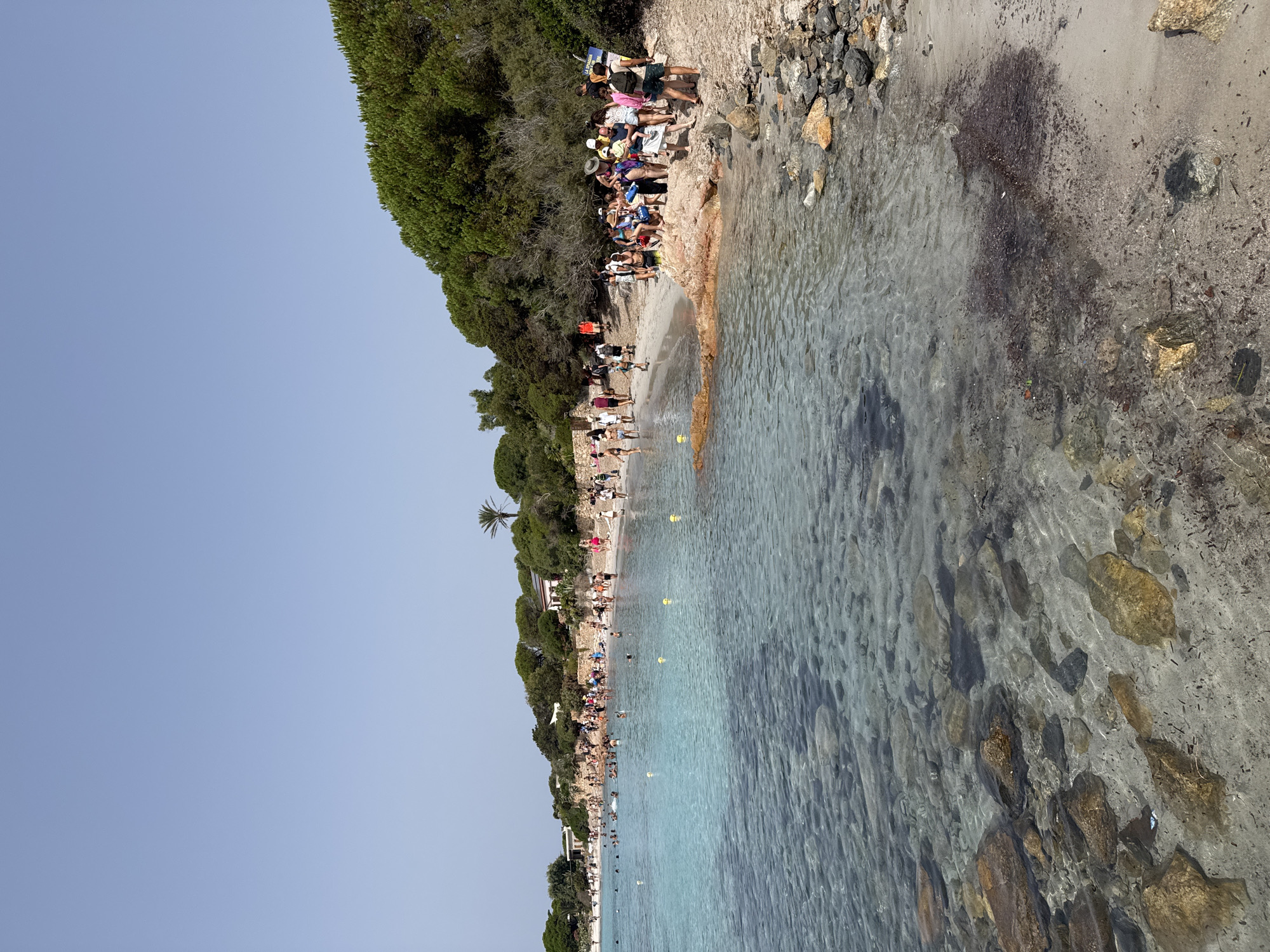 The image depicts a crowded beach scene on a sunny day. The foreground shows shallow, clear turquoise water with visible rocks and sandy seabed. The middle ground is a sandy beach lined with numerous people, many of whom are standing, walking, or sitting. A dense green forest with scattered buildings, including what appears to be a villa, borders the beach in the background. The sky is clear and blue. The presence of yellow buoys in the water suggests a designated swimming area. The overall impression is a lively, popular coastal location. Based on the context provided by the original query, this scene is located in the city of La Maddalena, Italy.