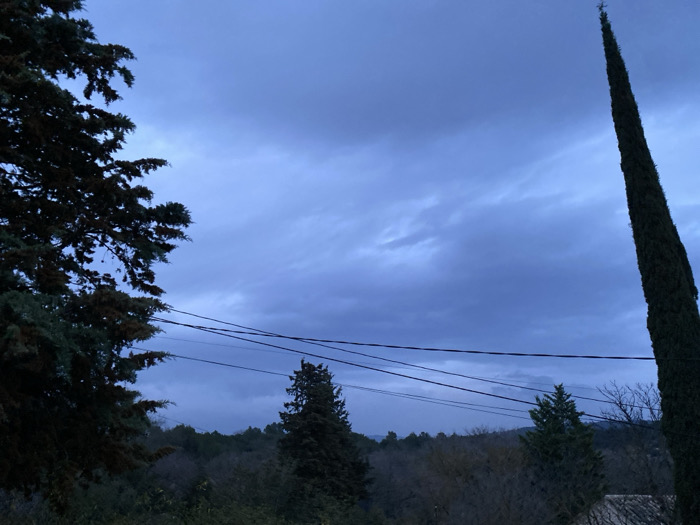 This image captures an outdoor scene in Apt, France, under an overcast, blue-grey sky, suggestive of dusk or early morning. The foreground on the left is dominated by the dense, dark green foliage of a large coniferous tree, partially obscuring the upper left quadrant. On the far right, a tall, slender, dark green cypress tree extends vertically from the bottom to the top of the frame, its pointed apex featuring a small, dark, cross-like finial.
Horizontally across the mid-ground, at least three dark utility wires are visible, stretching between the prominent trees. Below these wires, a dense, verdant landscape of trees and vegetation covers rolling terrain, with a mix of deciduous trees appearing bare or sparsely leafed, and darker evergreens. Distant hills are faintly visible beneath the low-hanging clouds. A small section of a tiled roof structure is discernible at the bottom right, beneath the cypress tree. No individuals or active subjects are present.