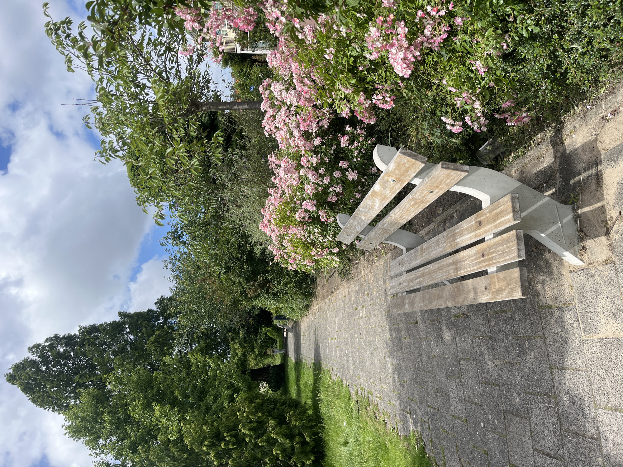 A light gray paved pathway curves through a park-like area under a cloudy sky. On the right, a wooden bench with concrete supports sits beside a dense bush covered in small pink flowers. To the left of the path, green grass and trees form a verdant border, with a taller, conical evergreen tree dominating the left background. Further down the path, a person in a light yellow top and dark pants walks away from the camera. In the far background, the tops of buildings with light-colored balconies are visible above the trees.