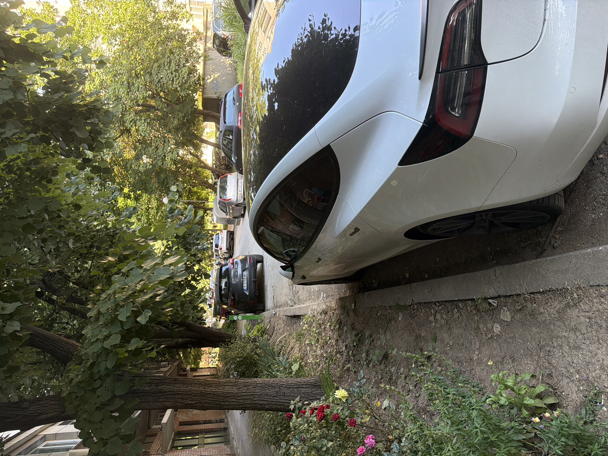 A white Tesla Model 3 is parked on a street lined with trees and a building. The car is in the foreground, taking up the right side of the image. It is facing away from the camera and parked parallel to the curb. The car's rear is visible, including its taillights and a spoiler. The street is paved and has a sidewalk next to it. In the background, other cars are parked along the street, and there are more trees and buildings. The sun is shining, casting shadows on the ground. The scene appears to be in a residential or urban area. This photograph was taken on May 31, 2023, at 17:49:43 in Ruse, Bulgaria.