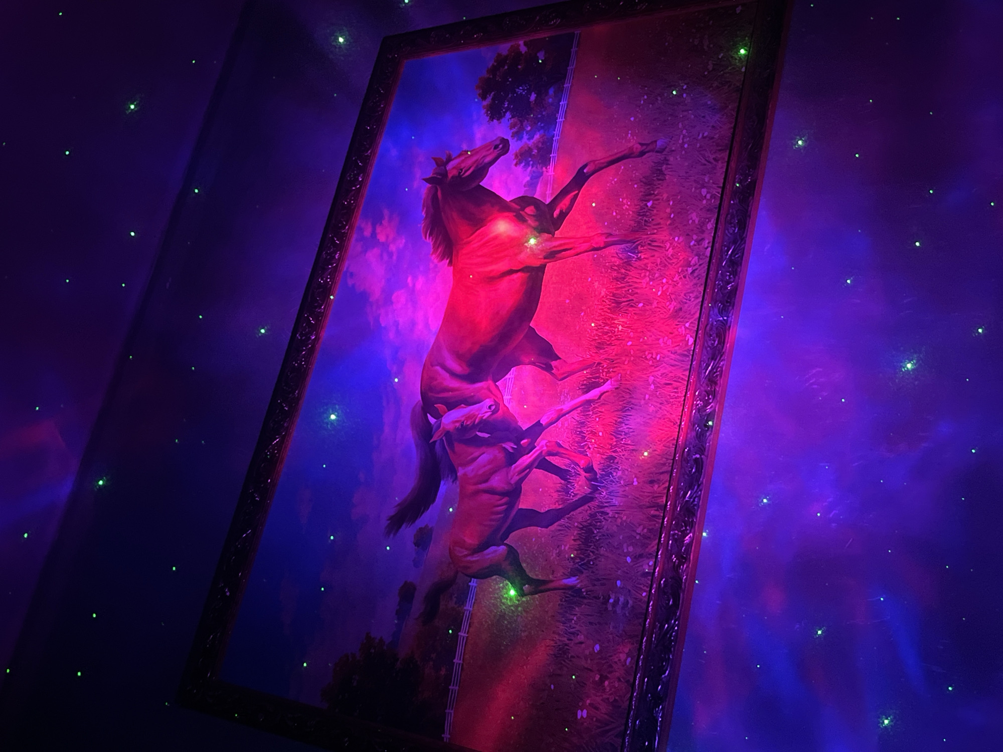 The image shows a painting of two horses in a field, illuminated by pink and purple lights. The painting is framed and hangs on a wall with a dark blue ceiling dotted with small green lights, resembling stars. There are no people visible in the image. The overall scene appears to be an indoor environment, possibly a room with a themed decoration. There is no information provided to determine the location in the city of Nizhny Tagil, Russia.