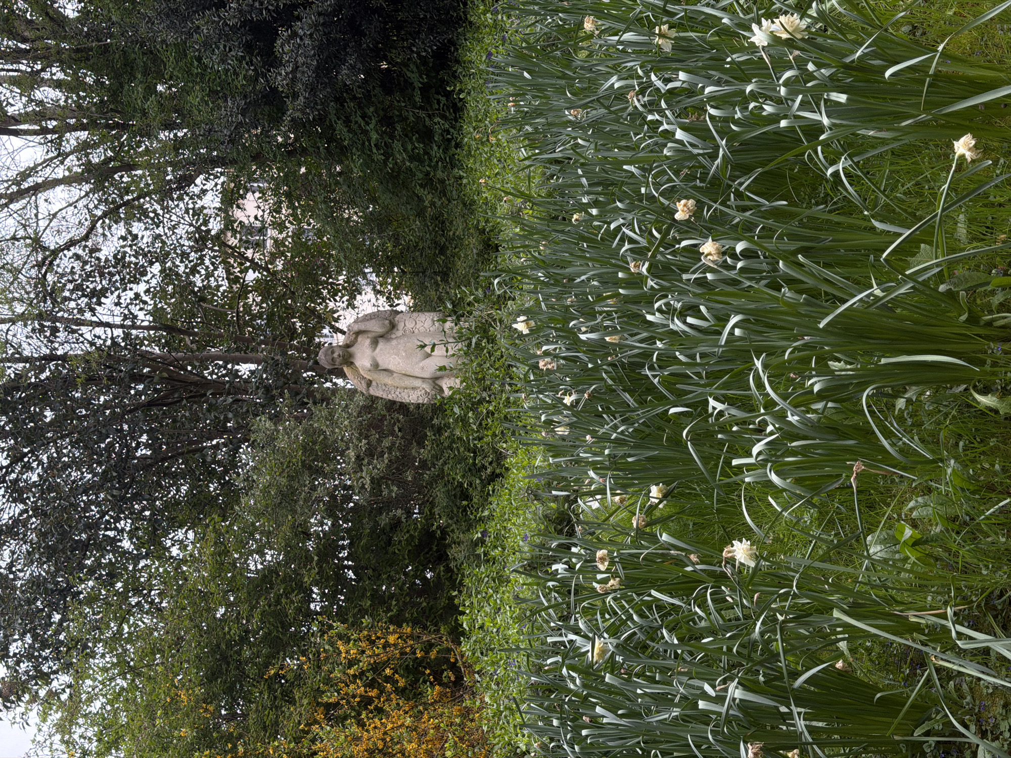 The image depicts a garden setting likely located in Paris, France, with a combination of natural and artificial elements. A weathered stone sculpture of a reclining female figure with possible wing remnants is partially visible, nestled within foliage. The statue is positioned between dense, dark green trees and a vibrant, long grass area punctuated by pale yellow or white flowers, possibly daffodils. The garden is overgrown, with a variety of plant species interspersed. Overall, the setting suggests a secluded and possibly historic garden space.