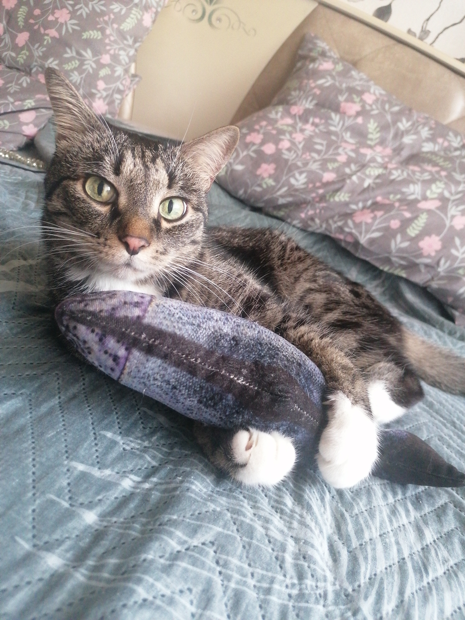 A tabby cat lies on a bed with a patterned duvet. The cat is curled around a plush toy that resembles a fish. The cat's eyes are open and looking towards the camera. The background consists of pillows with a floral pattern. The image is taken from a slightly elevated angle, focusing on the cat and its toy.