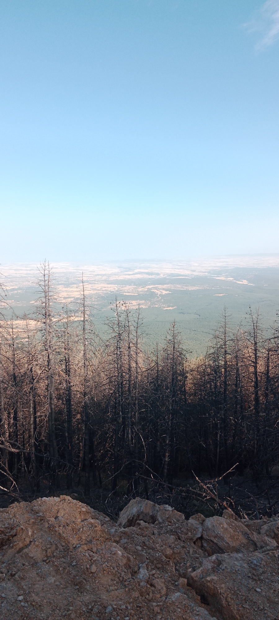 The image depicts a panoramic view from a hilltop overlooking a vast landscape. In the foreground, a rocky, reddish-brown soil embankment is visible, with scattered stones. Behind the embankment, a dense cluster of bare, dry trees, likely the aftermath of a fire, dominates the middle ground. These skeletal trees have dark, charred trunks and branches, creating a stark silhouette against the distant scenery. Beyond the trees, a wide expanse of land unfolds, characterized by patches of green vegetation and lighter-colored, possibly cultivated fields, stretching towards the horizon. The sky above is a clear, pale blue, transitioning to a lighter hue near the horizon. The overall scene suggests a rural or mountainous environment in the vicinity of Cerezo de Arriba, Spain, with evidence of a past forest fire.