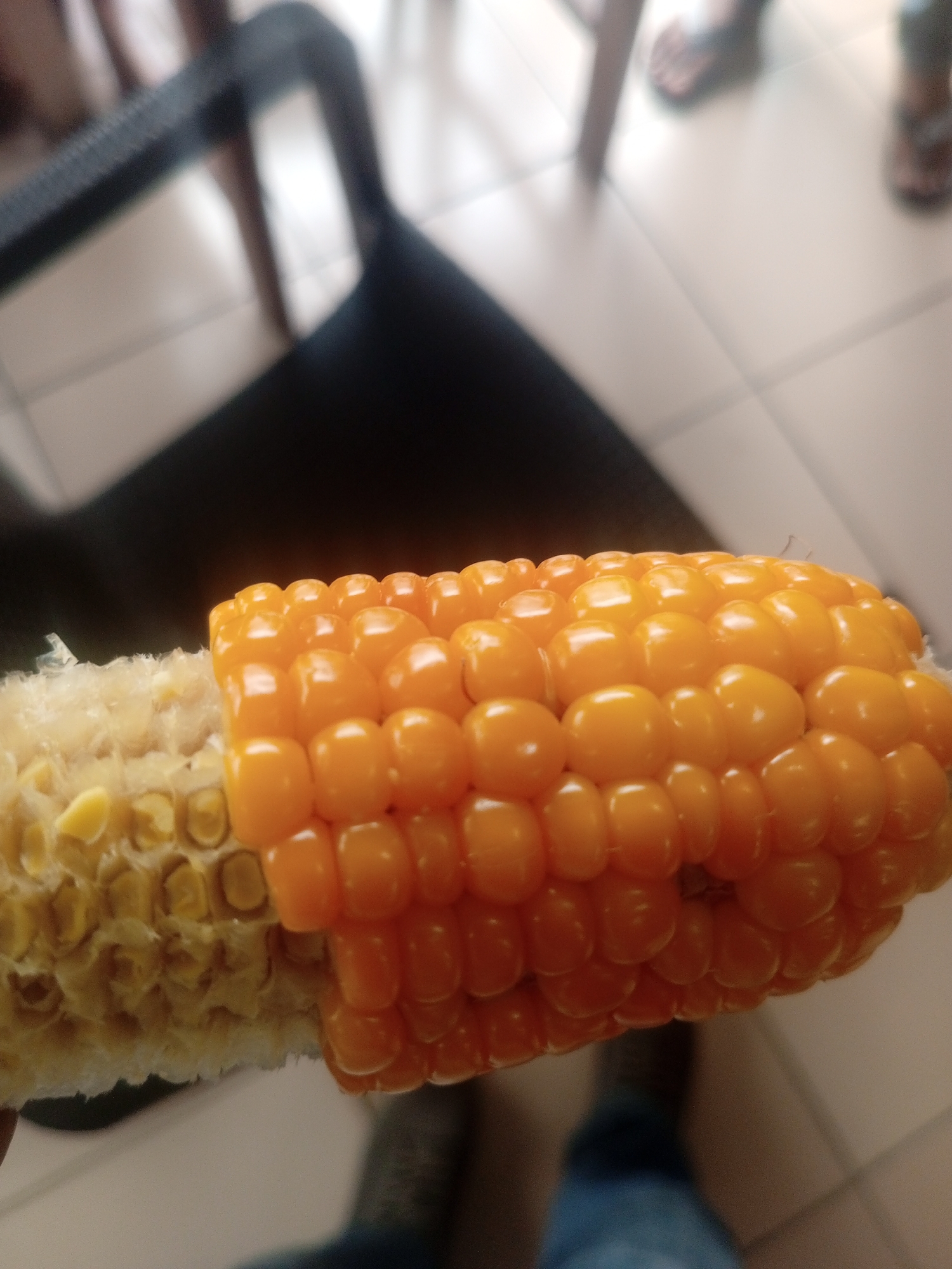 A close-up shot captures a half-eaten ear of corn, with the kernels still attached to the cob on the right side and the bare cob on the left. The corn has bright yellow kernels. The scene is set indoors, as suggested by the tiled flooring visible in the background. The blurry background shows hints of furniture and people's legs wearing sandals, indicating a casual setting. The image's focus is solely on the ear of corn, with the surroundings rendered out of focus. The location in Sardauna, Nigeria, is not visually represented in the image.