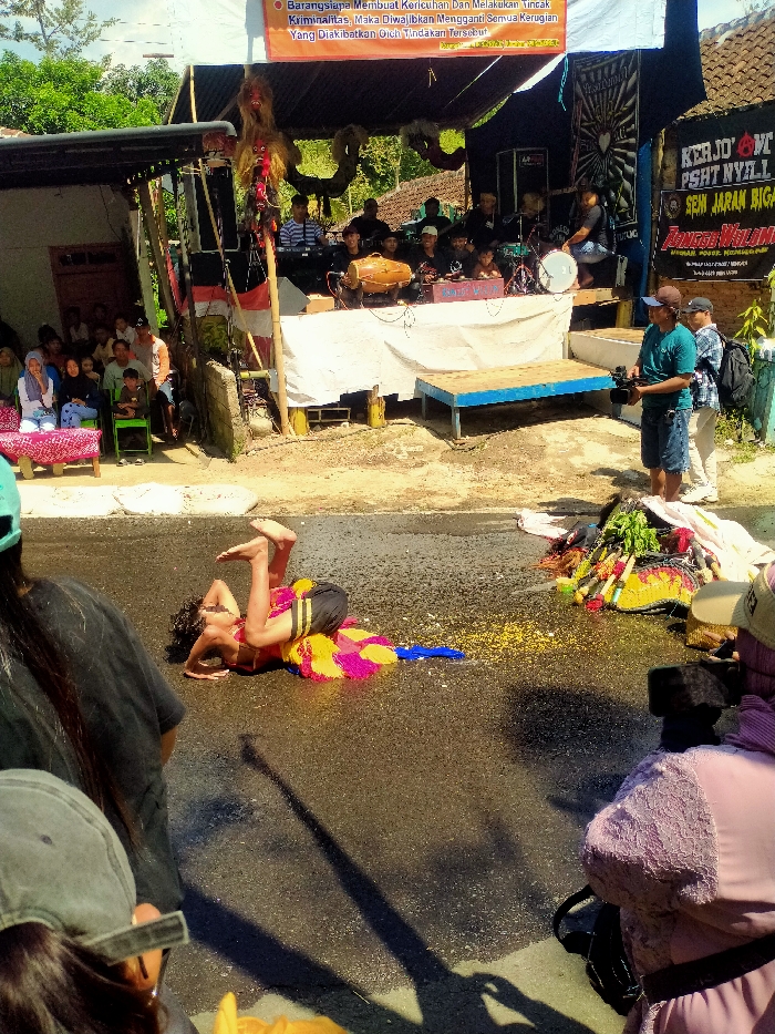 An outdoor cultural performance is captured in Tawangsari, Indonesia, during daylight hours on a wet asphalt road. In the immediate foreground, obscured backs of spectators are visible, including one wearing a green cap and black shirt, and another in a purple lace top.
At the center of the road, a person, appearing male, lies supine with legs bent and raised, and arms bent near the head. He wears dark shorts with yellow stripes and a red chest covering. He is positioned on a vibrant, multi-colored fabric resembling a mat, primarily magenta, yellow, and blue. Yellow granular material is scattered on the wet asphalt around him. To his immediate right, a pile of colorful items, including green foliage, red fabric, and yellow woven objects, rests on the road.
To the right of the road, an elevated, makeshift stage is set up under a dark canopy. Approximately eight to ten male musicians are seated on the stage, which is covered with white fabric. Visible instruments include a brown wooden drum (kendang), a drum kit, and electronic keyboards. An elaborate, tall, stylized figure with a feathered headpiece and red accents, resembling a Barongan mask, stands on the left side of the stage. Another mask-like object hangs to the right. An orange banner with Indonesian text is stretched above the stage. A large speaker is positioned to the left of the stage.
Adjacent to the stage on the right, against a building, a black banner with white text, including "PSHT NYILL" and "SENI JARAN BIGANG," and a star/sunburst logo is displayed. Near the stage, a man in a blue shirt and blue cap holds a video camera, filming the event. Another man stands beside him with a backpack.
To the left of the stage, a group of spectators, including women and children, are seated on chairs and benches covered with pink-patterned fabric, observing the performance. The background features lush green trees and simple residential buildings. Strong shadows on the asphalt indicate bright sunlight.