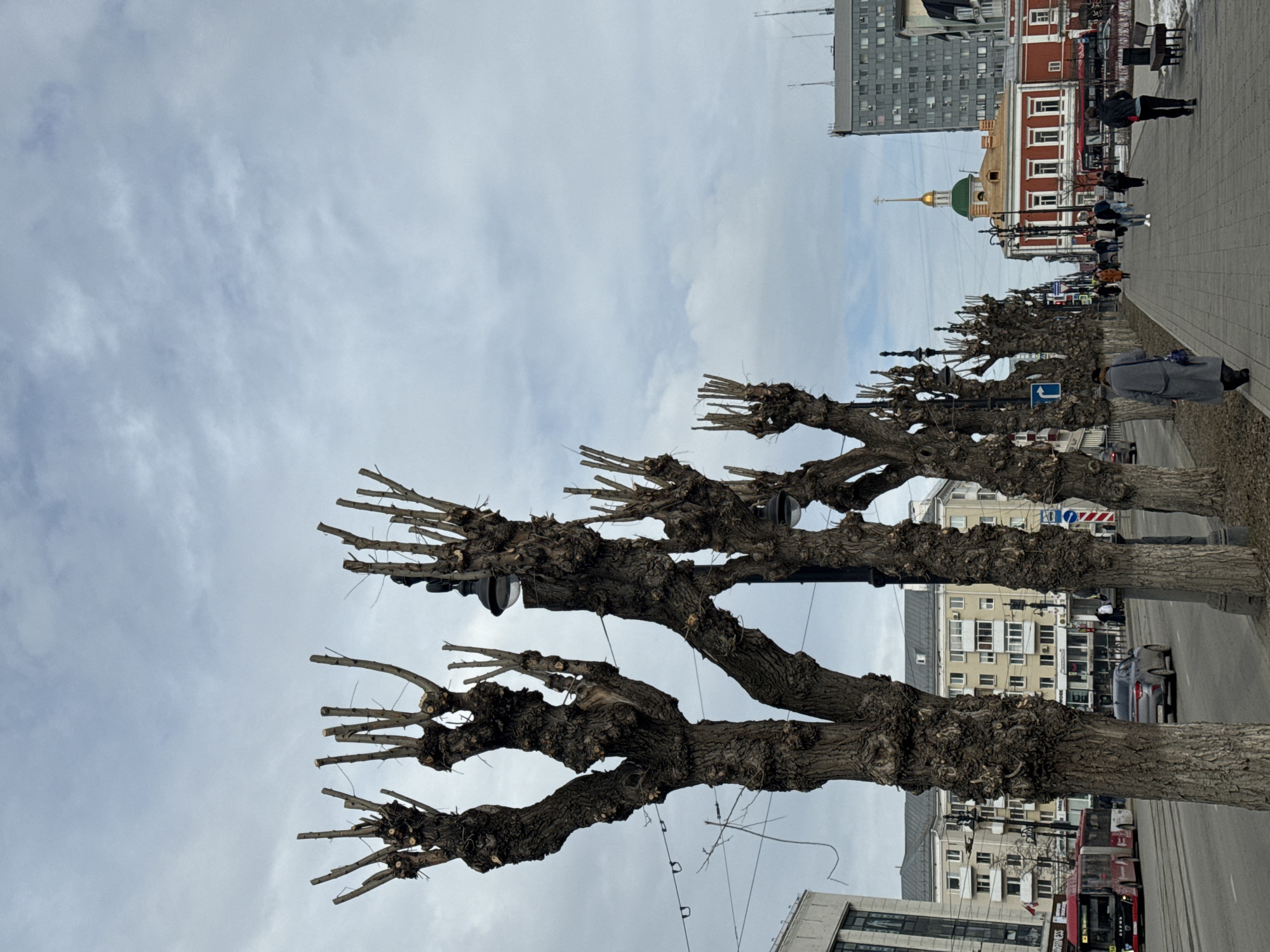 The photograph shows a street scene in Perm, Russia, taken from a low angle. A row of pollarded trees with thick, leafless branches and trunks lines the left side of the image, extending into the distance. Beyond the trees, a wide sidewalk is visible, with several people walking. A woman wearing a long grey coat stands out. Buildings in varied architectural styles flank the street. One building with a green dome and golden spire is visible among other buildings, some with red and white facades. Street signs, vehicles, including a red bus and a grey car, and utility poles are visible on the street and sidewalk. The sky is overcast, with a pale grey color.