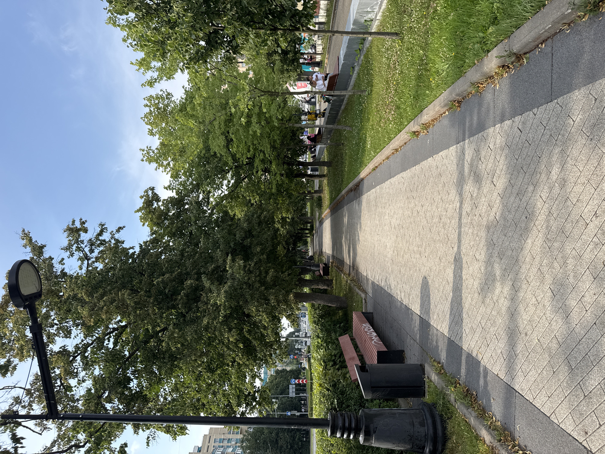 The image depicts a pedestrian walkway in Zelenograd, Russia, lined with trees and benches. The walkway is paved with light-colored interlocking stones, bordered by a dark gray strip and then a curb. To the left of the walkway, a black lamppost stands prominently, and beyond that, a dense green hedge. A red bench with black legs and a black trash receptacle are situated on the left side of the walkway.
Further down the walkway, more red benches are visible, interspersed with young trees. On the right side of the walkway, a strip of grass with scattered white flowers separates it from a concrete barrier. Beyond the barrier, a street with light traffic and pedestrians can be seen. Several individuals are seated on benches further down the walkway, engaged in conversation or resting. The sky is a clear blue with scattered wispy clouds, suggesting daytime. The overall scene conveys a sense of an urban park or a tree-lined boulevard.