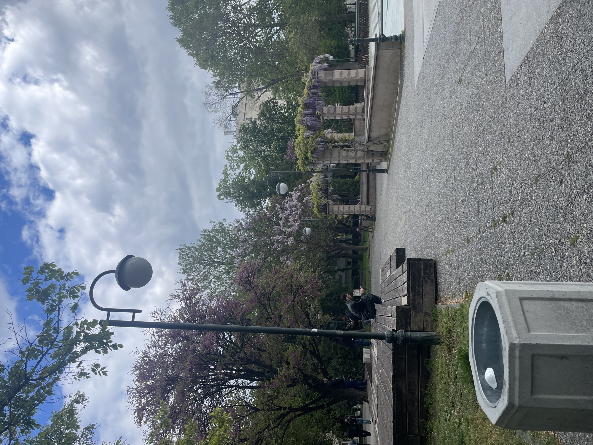 The image depicts a park scene, potentially in Plovdiv, Bulgaria, characterized by a mix of natural and architectural elements. A paved walkway runs through the foreground. A row of concrete pillars intertwined with flowering wisteria vines lines part of the walkway. The scene features flowering trees with pink and purple blossoms, indicating springtime. There is a vintage-style lamppost with a rounded globe lamp. Several people are visible, some seated on wooden benches and others walking. There is a concrete trash receptacle in the lower right corner of the image. The sky is overcast with a mix of clouds.