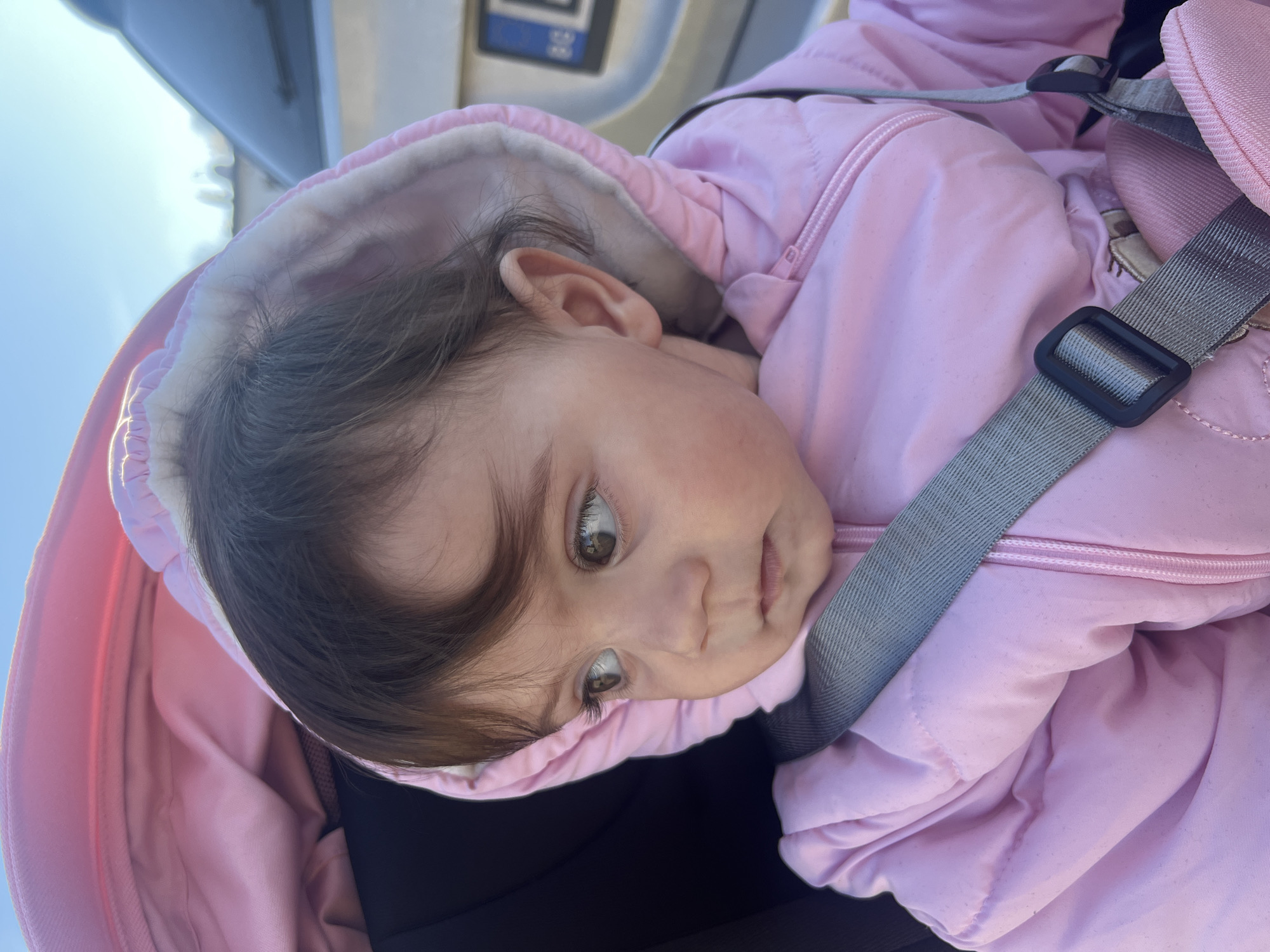 A baby wearing a pink hooded jacket is secured in a seat with gray straps and buckles. The baby has brown hair and eyes and is looking downwards with a contemplative expression. The background suggests an interior setting with a glimpse of a window. Elena, Bulgaria cannot be confirmed as the location from the given image.