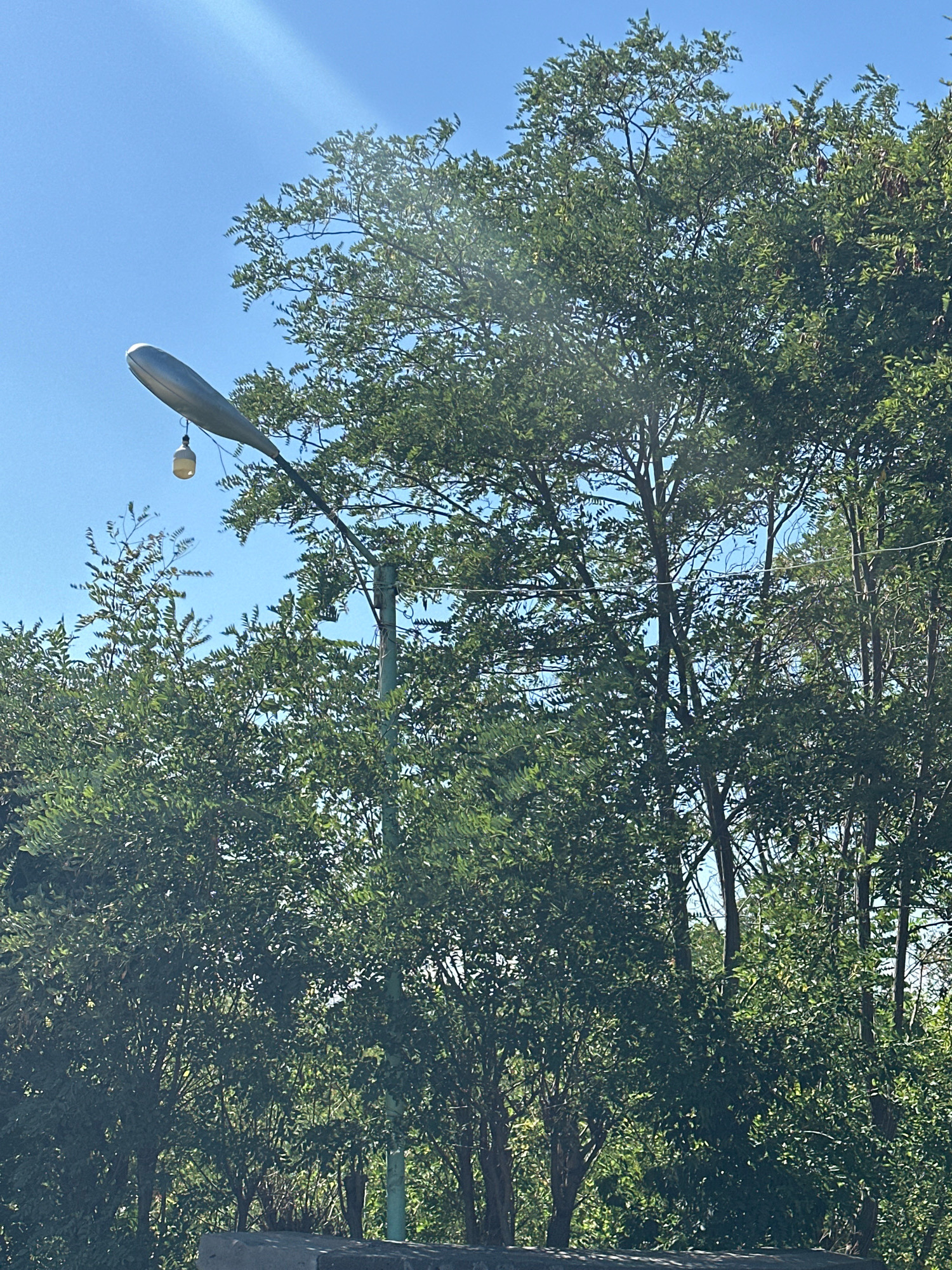 A streetlamp with a yellow light bulb hangs from a curved metal pole against a bright blue sky. Lush green trees with dense foliage surround the pole and fill the lower portion of the image. The light bulb is illuminated and hangs by a wire from the end of the streetlamp's arm. The scene appears to be outdoors in a natural setting, possibly a park or a tree-lined street in Gyumri, Armenia.