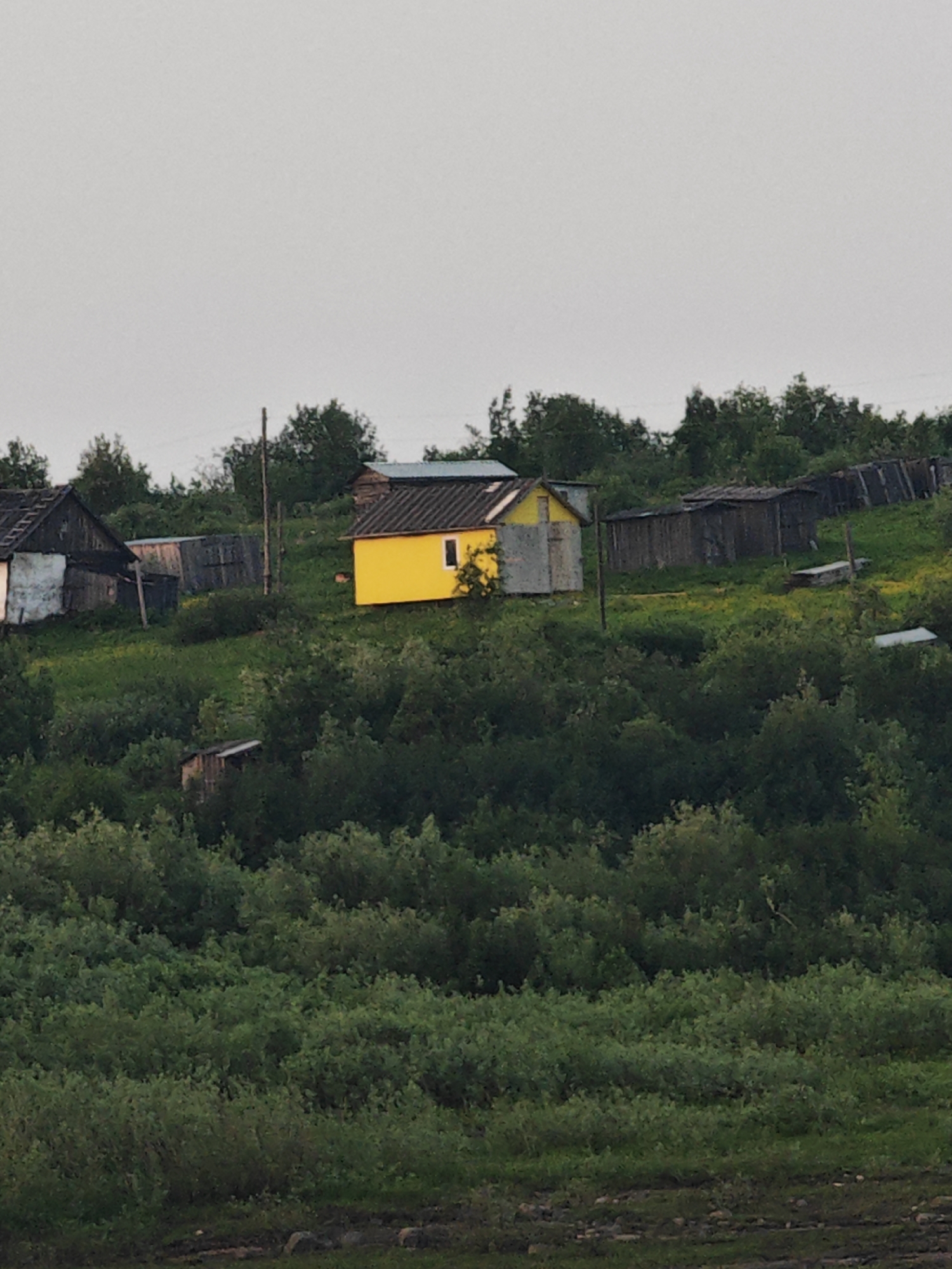 This image depicts a rural scene in Potapovo, Russia. The primary subject is a cluster of small, rustic buildings set against a backdrop of dense green foliage and trees, situated on a gentle slope. A bright yellow structure, likely a house or shed, stands out prominently in the center of the frame. Adjacent to it are several other weathered, wooden buildings, some with dark, sloped roofs, suggesting a village or settlement. One building to the left has white and dark siding. The foreground is dominated by lush, overgrown greenery, with hints of dirt paths and rocks.
The time of day appears to be late afternoon or early evening, as indicated by the soft, diffused light and the overcast sky, which suggests a calm and possibly cool weather. There are no people visible in the image. The overall impression is one of quiet seclusion and a simple, perhaps remote, way of life. No text is visible in the image.