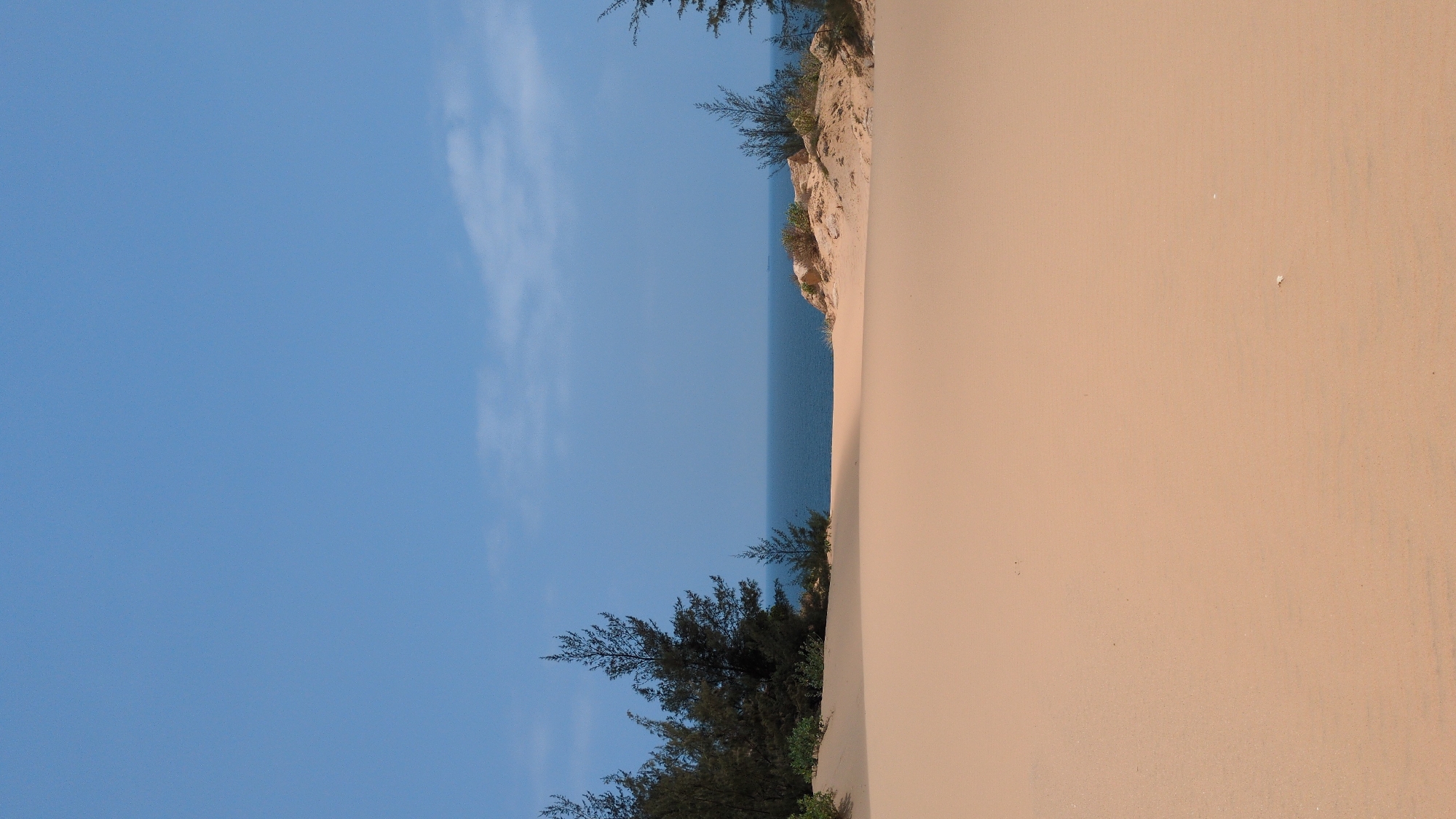 The image depicts a coastal landscape in Phuoc Dinh, Vietnam. The right side of the image is dominated by a large sand dune, extending vertically. Vegetation, including trees and bushes, grows along the edge of the dune closest to the sea. A body of water is visible between the dune and the blue sky. The sky occupies the left side of the image, with a few light clouds. The entire image is oriented vertically.