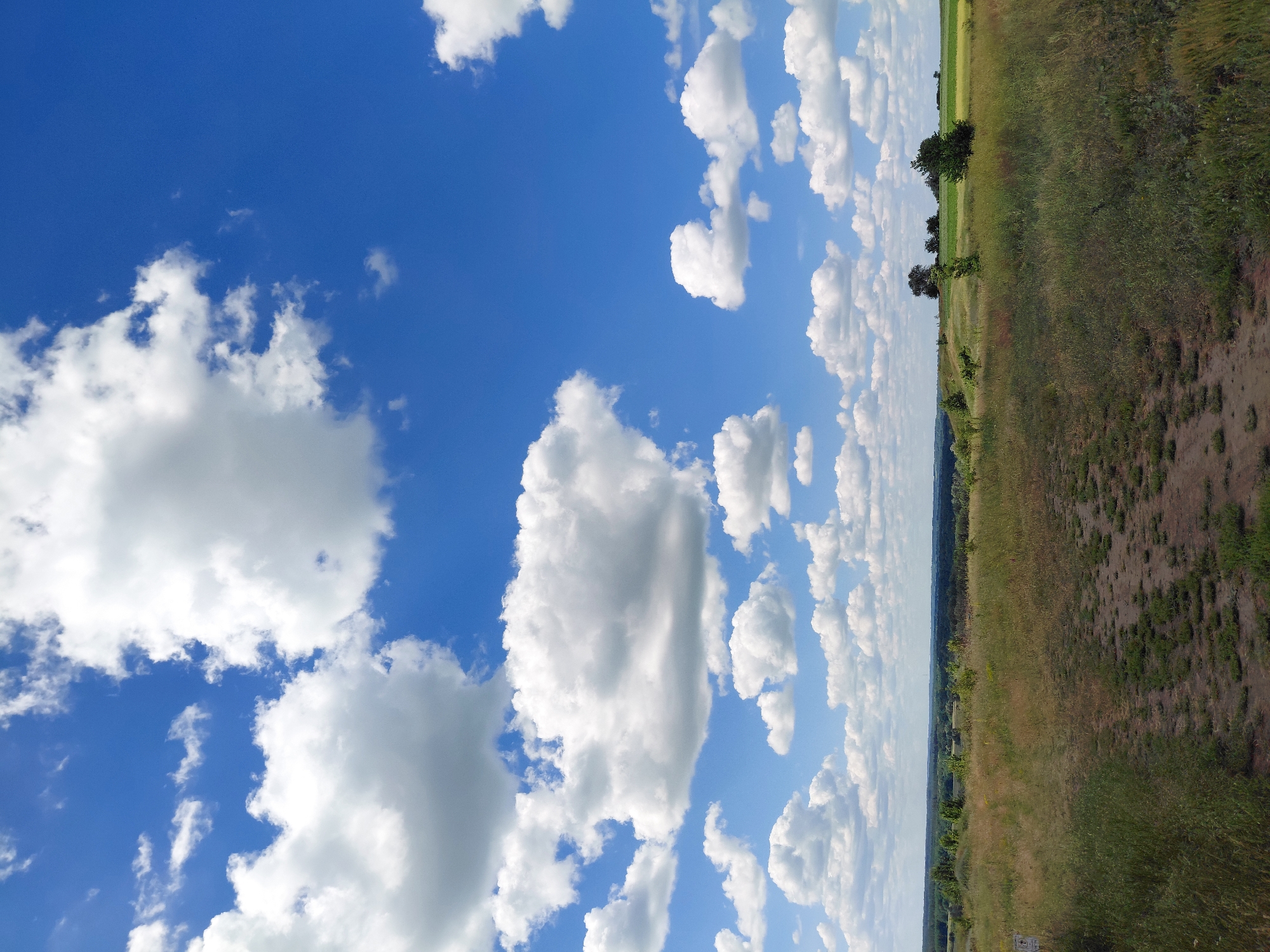 The image captures a landscape scene in the city of Ustyvytsia, Ukraine, on a bright, sunny day with a vivid blue sky filled with scattered white cumulus clouds. In the foreground, a dirt path winds through a field of tall, dry grass and sparse green vegetation. The terrain slopes gently upwards towards the middle ground, where more fields of varying shades of green and yellow can be seen, interspersed with scattered trees and a distant dark green treeline. The horizon is a clear demarcation between the land and the sky, with no visible man-made structures or people. The overall impression is of a serene, rural environment.