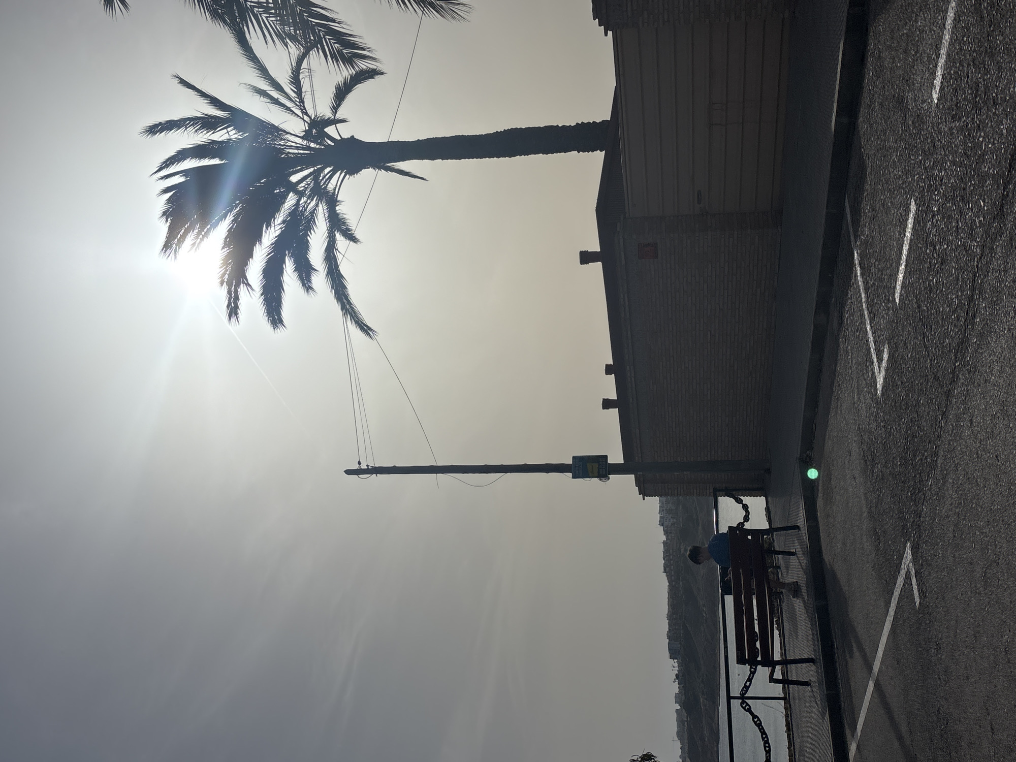 In Urbanización Cabo Roig, Spain, a person sits on a bench facing a body of water. The sky is overcast with a bright sun peeking through, casting lens flare. A palm tree is silhouetted against the bright sky. A utility pole with wires and a sign stands nearby. Behind the bench, a chain-link fence separates the walkway from the water. A brick building with a horizontal slat wall is visible to the right of the frame. The foreground shows an asphalt surface with white parking lines.